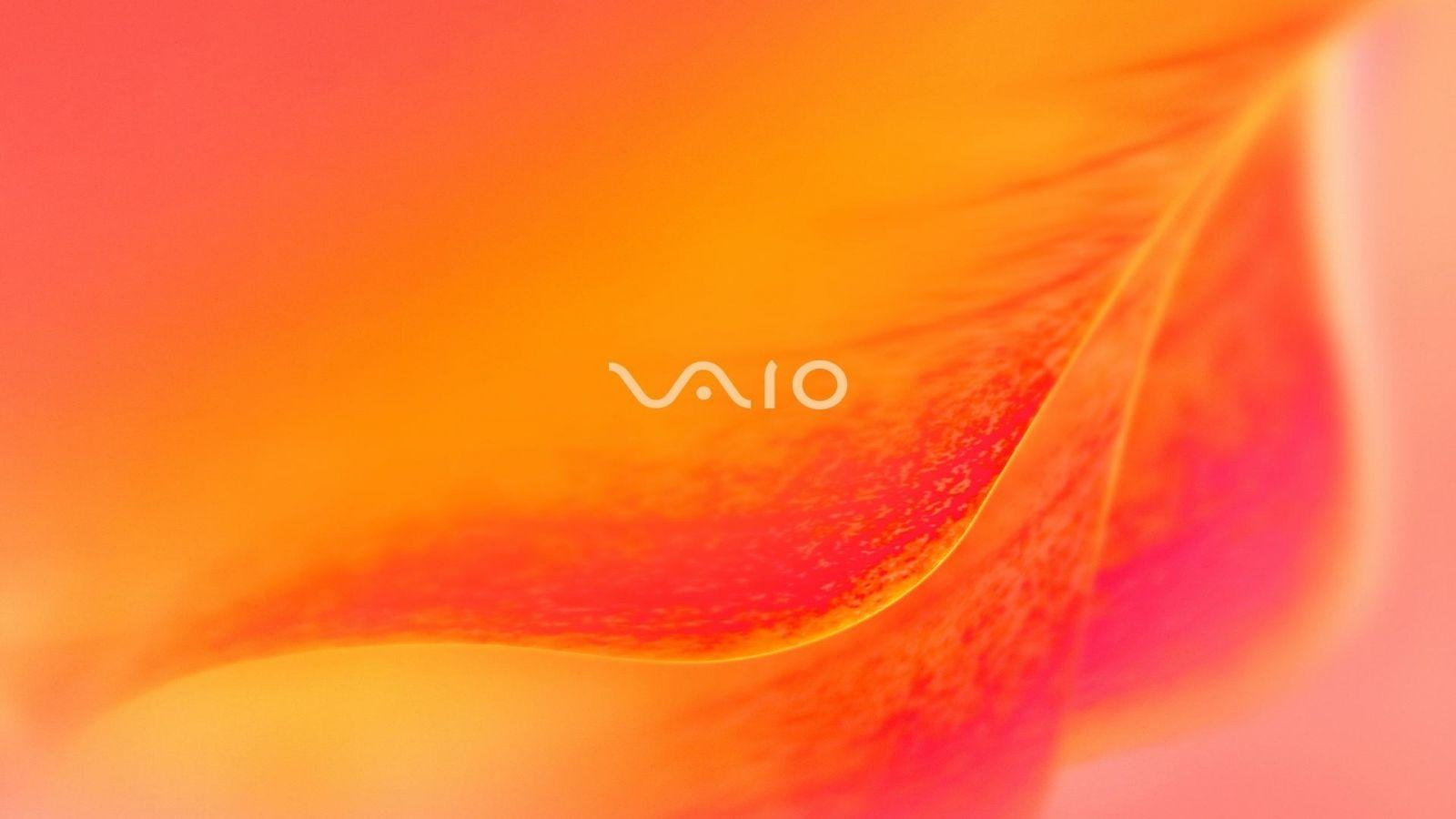 1600x900 Sony Vaio Wallpaper