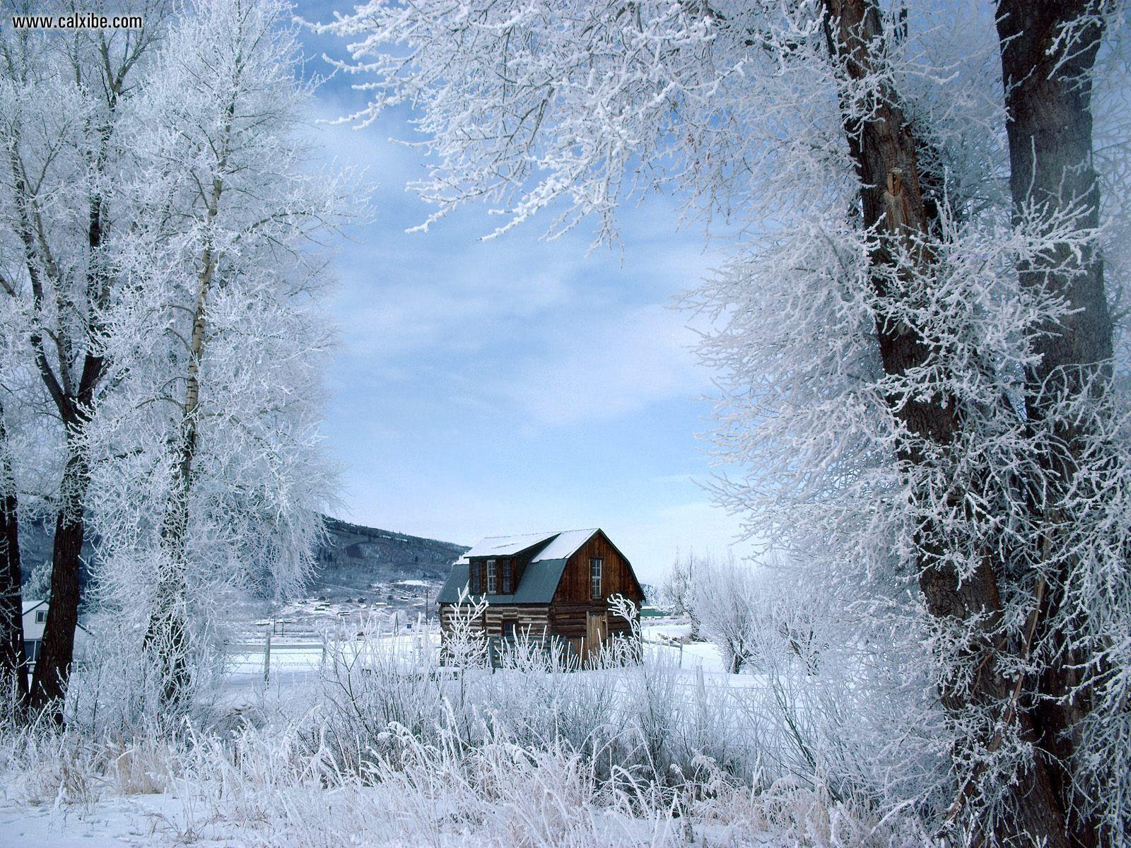 1600x1200 Địa điểm đã biết: Winter Wonderland, Steamboat Springs, Colorado