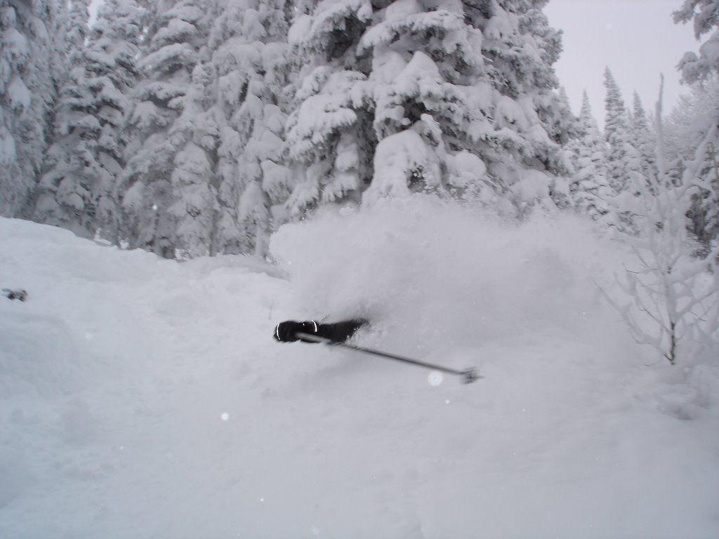 1024x768 Steamboat Springs: Steamboat Powder Skiing