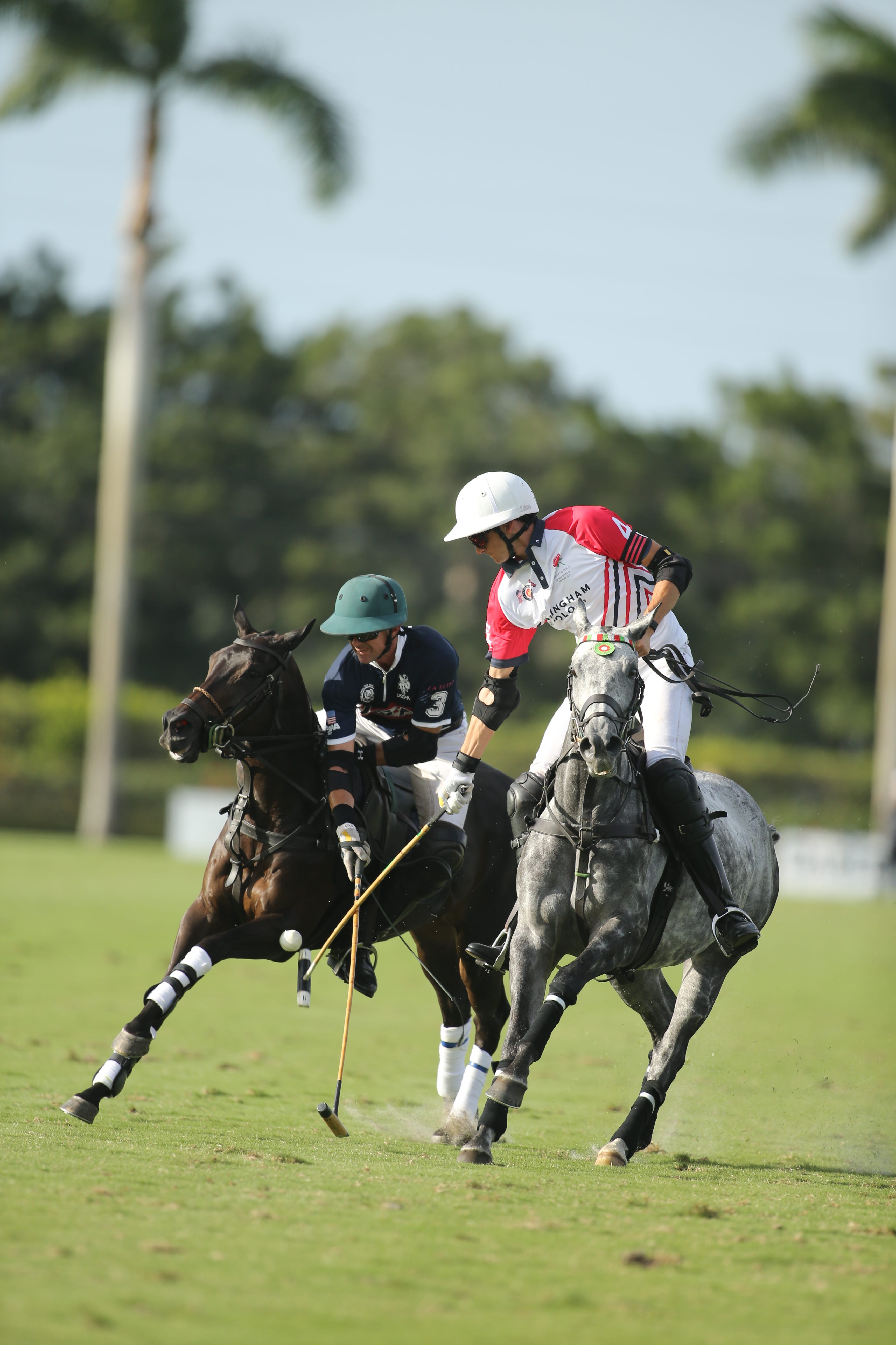 3456x5184 England defeats United States, 12- to take the Westchester Cup