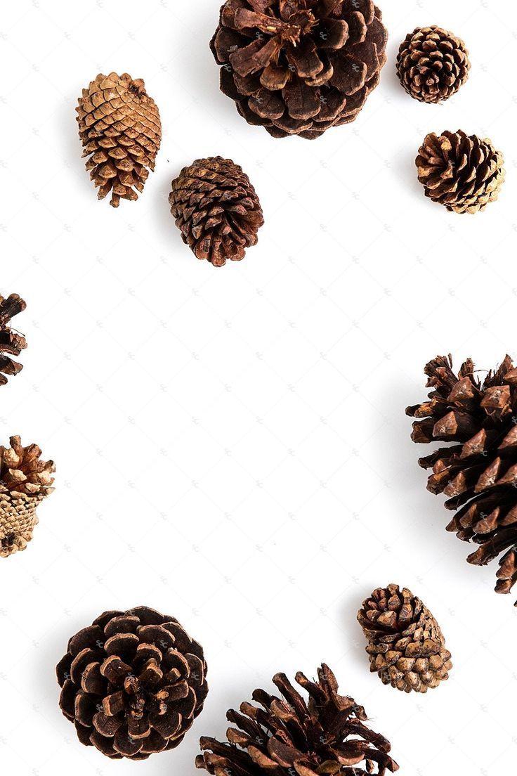 736x1104 Seasonal Fall Collection. In The Mood For Hygge. Wallpaper