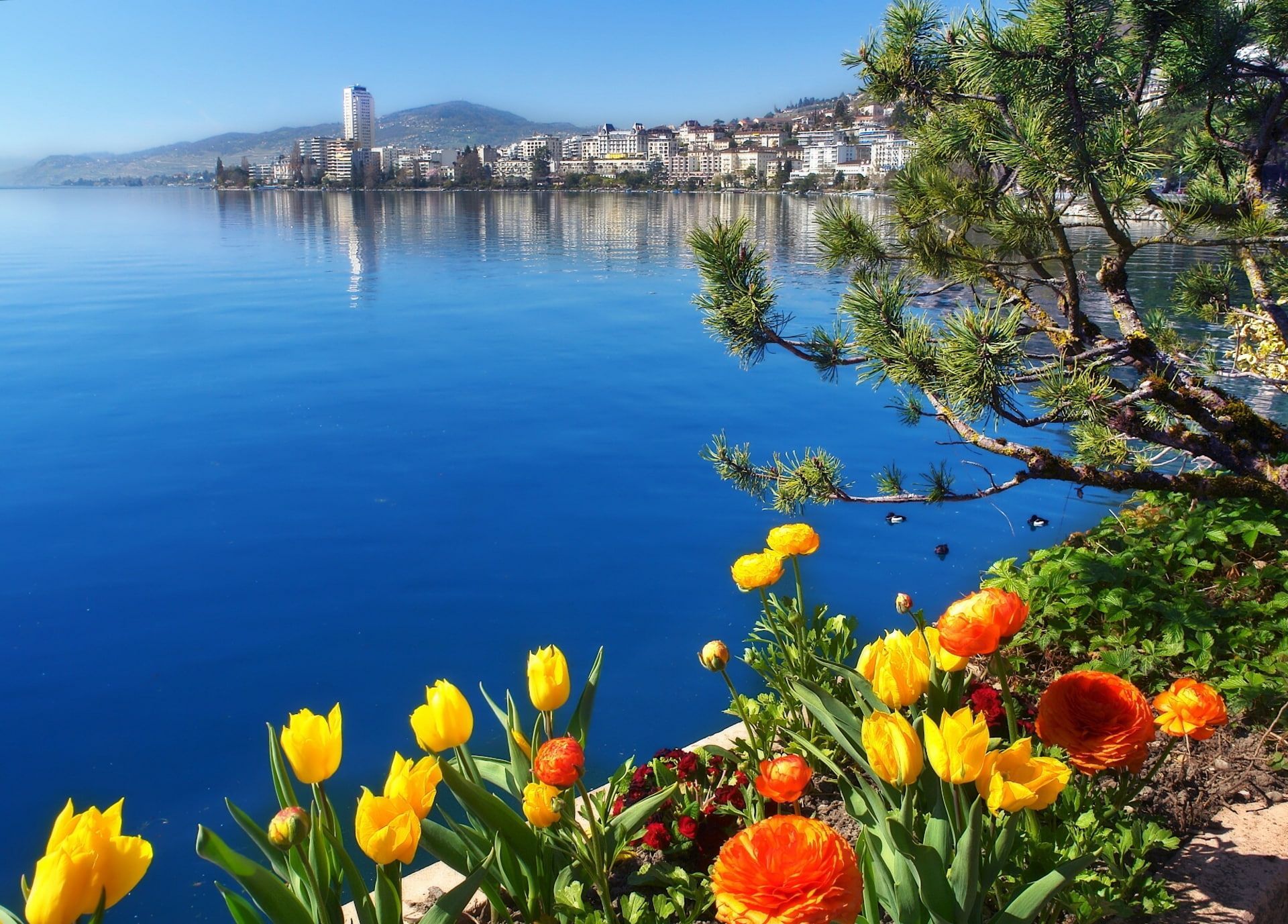 Montreux Wallpapers - Top Free Montreux Backgrounds - WallpaperAccess