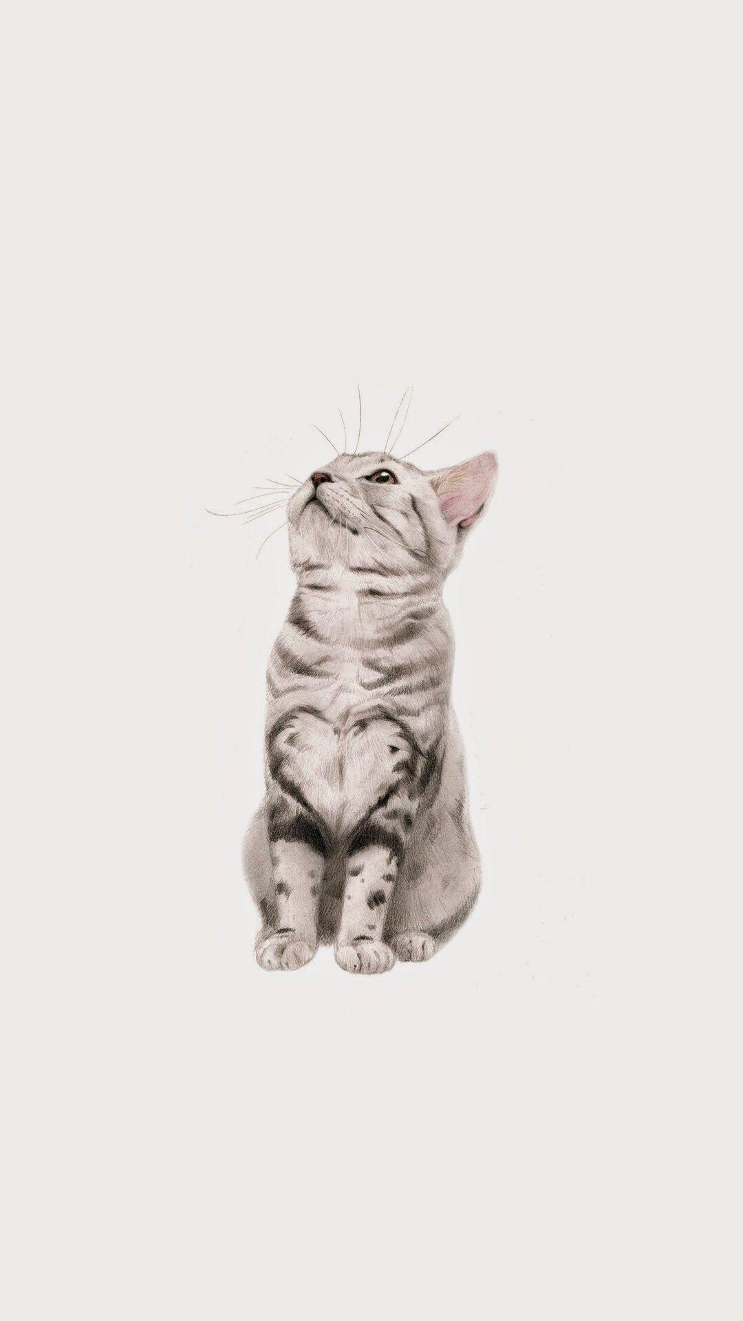 1080x1920 Best Of Awesome Funny Animal Wallpaper