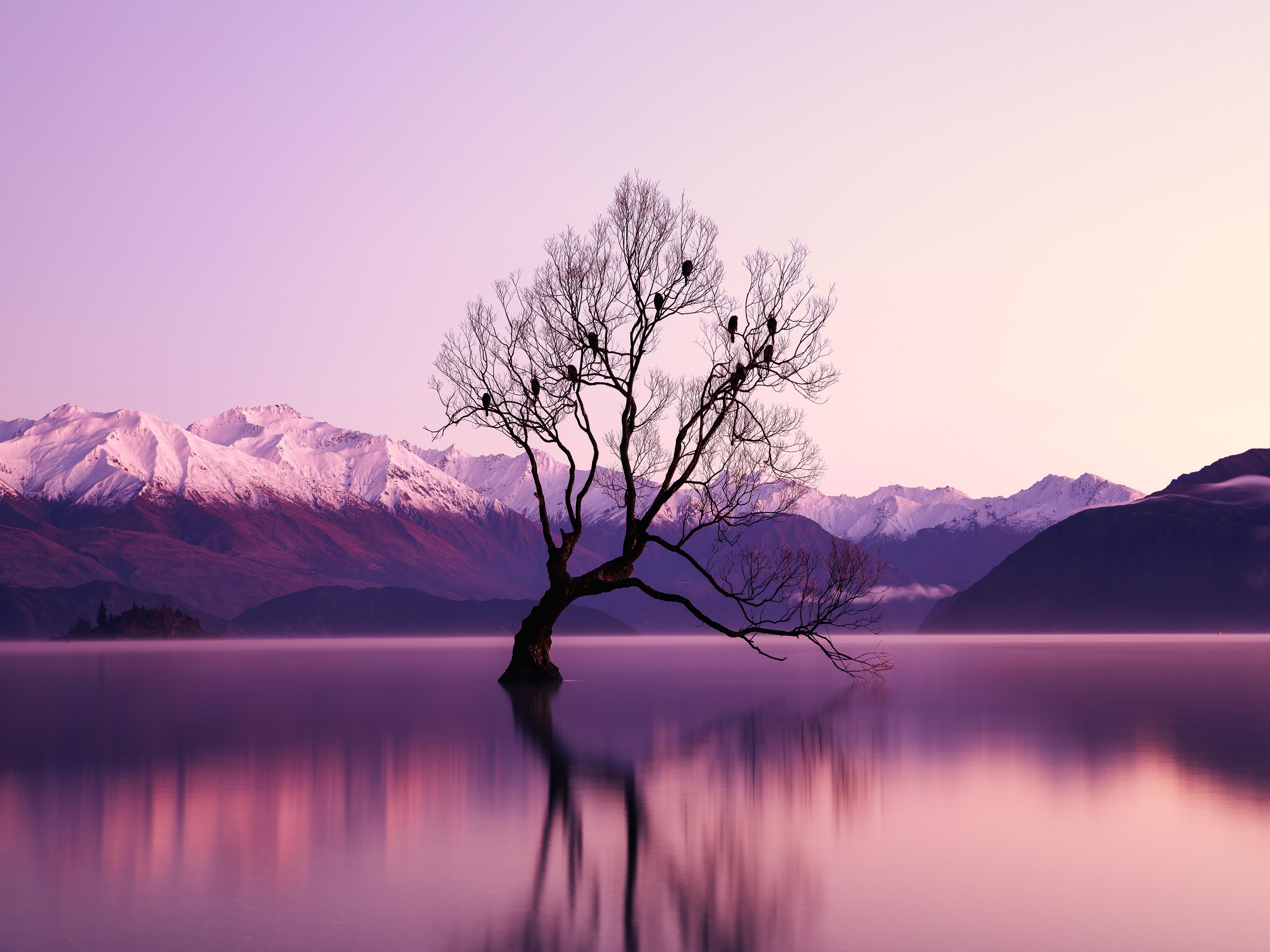 5120x3840 Wanaka 4K wallpaper for your desktop or mobile screen free and easy to download