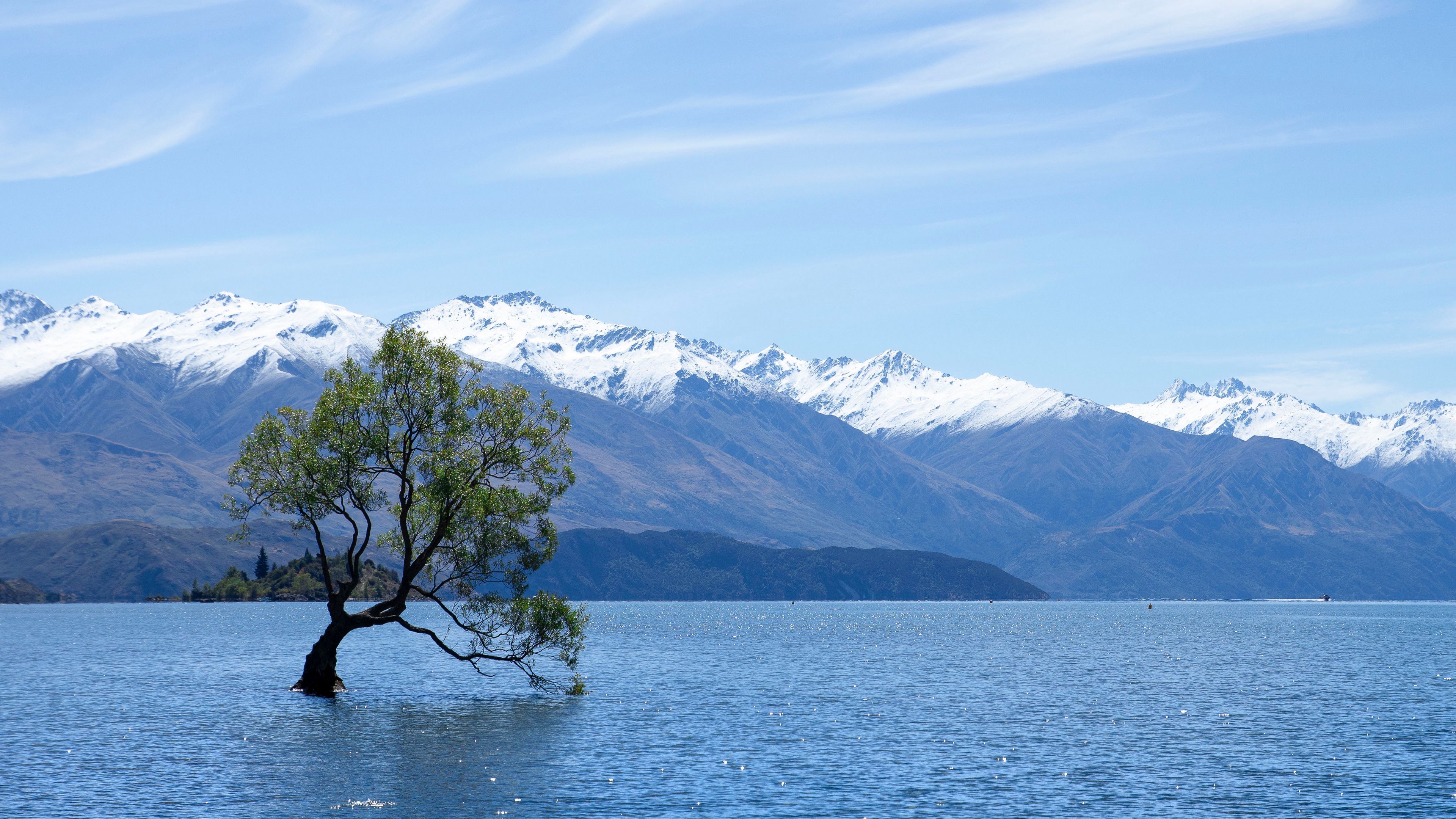 3840x2160 Wallpaper / tree, lake, mountains, wanaka, new zealand, 4k free download