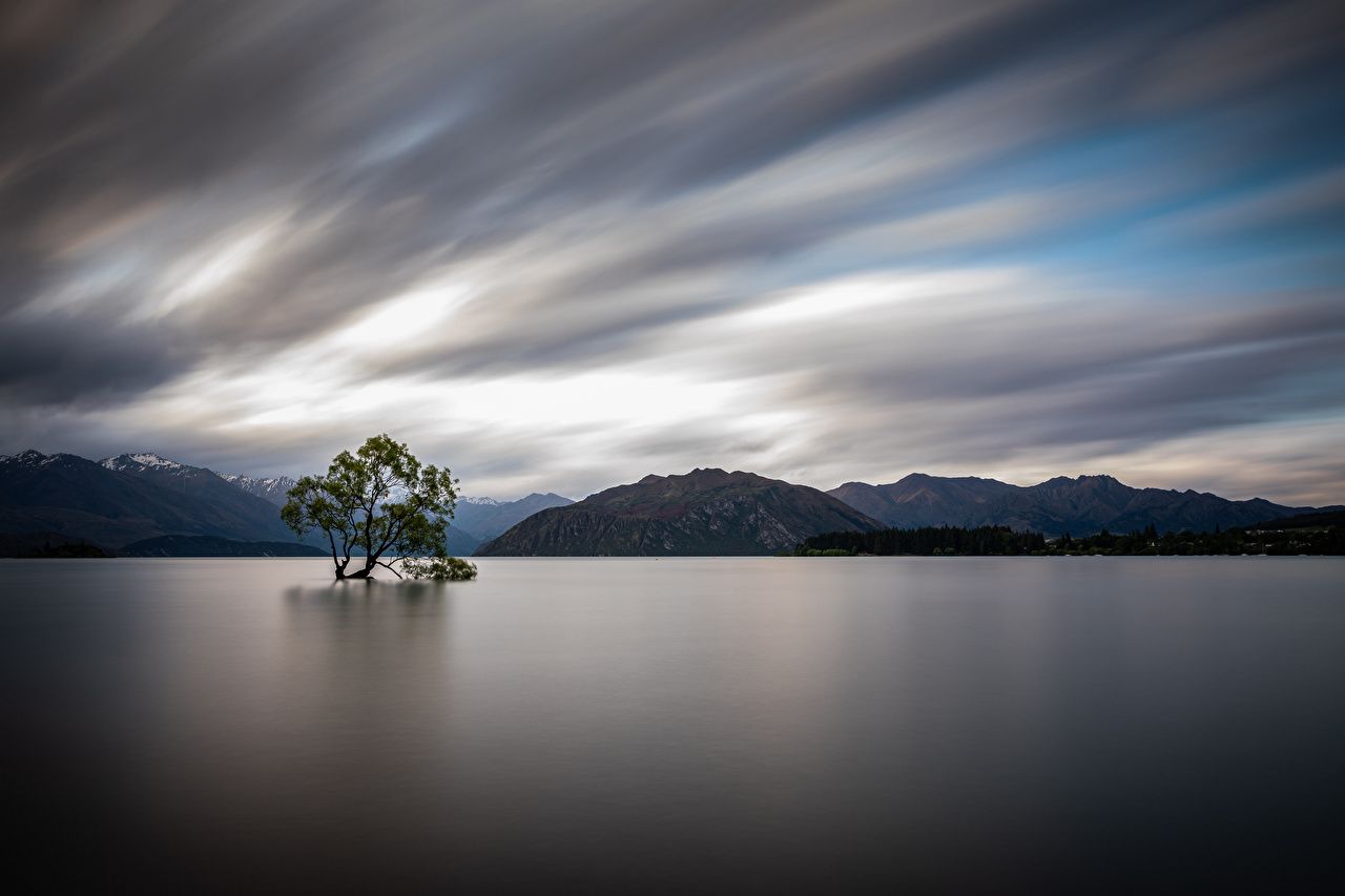 1280x853 Picture New Zealand Lake Wanaka Nature Mountains Trees