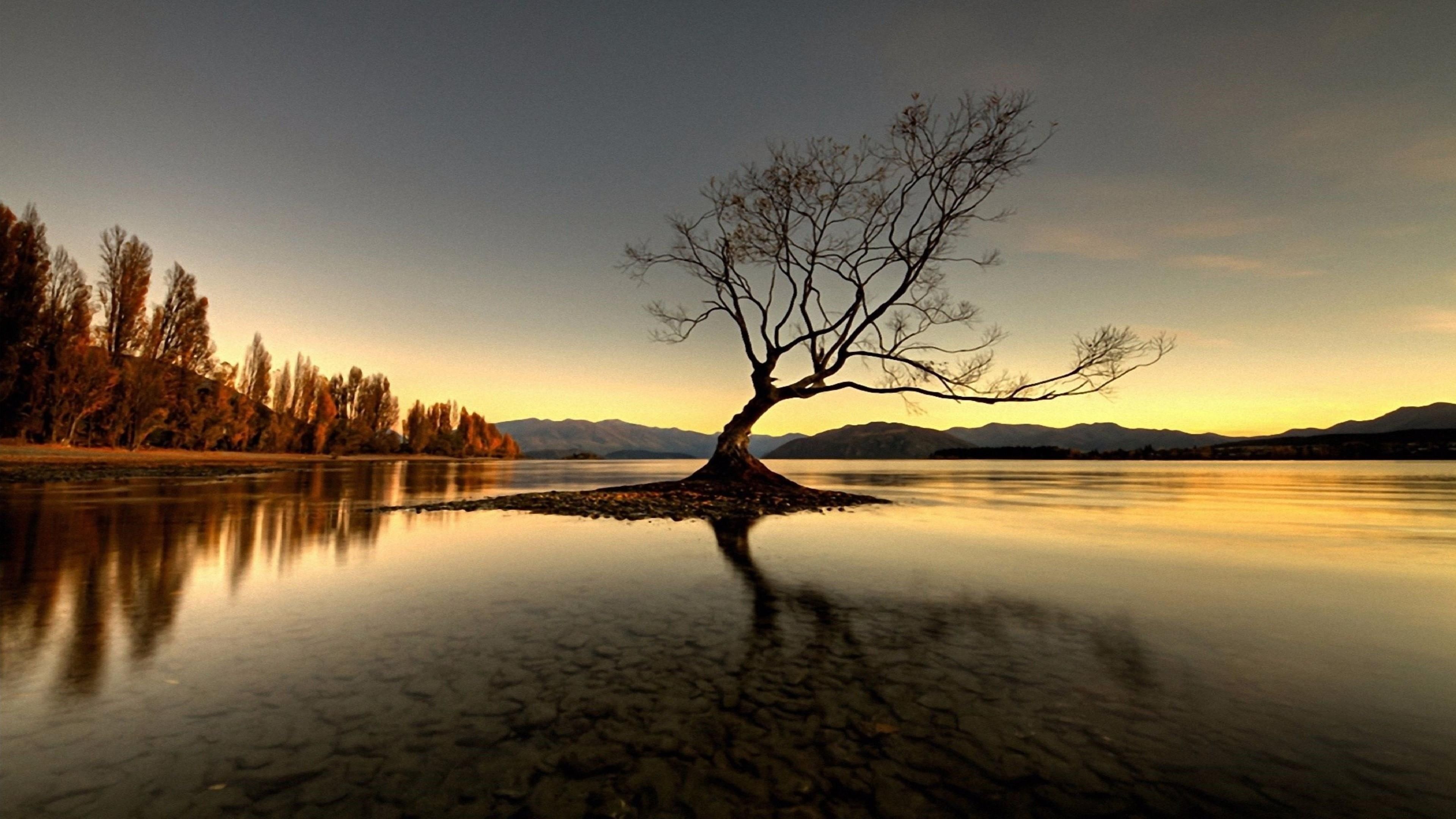 3840x2160 Wallpaper / horizon, lost, tree, lake, water, 4K, lonely tree, loch, wanaka, alone, lake wanaka, lone tree, solitary tree, nature, sky, sunset, reflection, new zealand free download