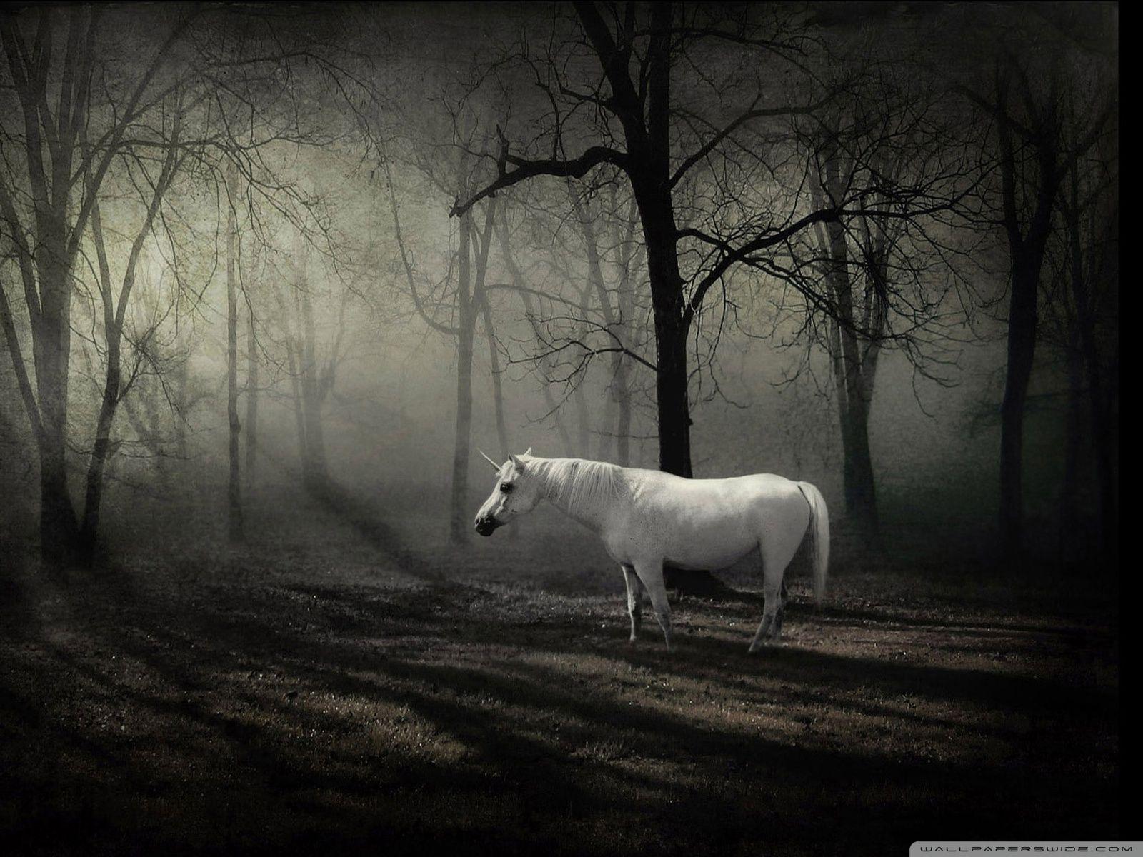 1600x1200 The Last Unicorn ❤ 4K HD Desktop Wallpaper for 4K Ultra HD TV