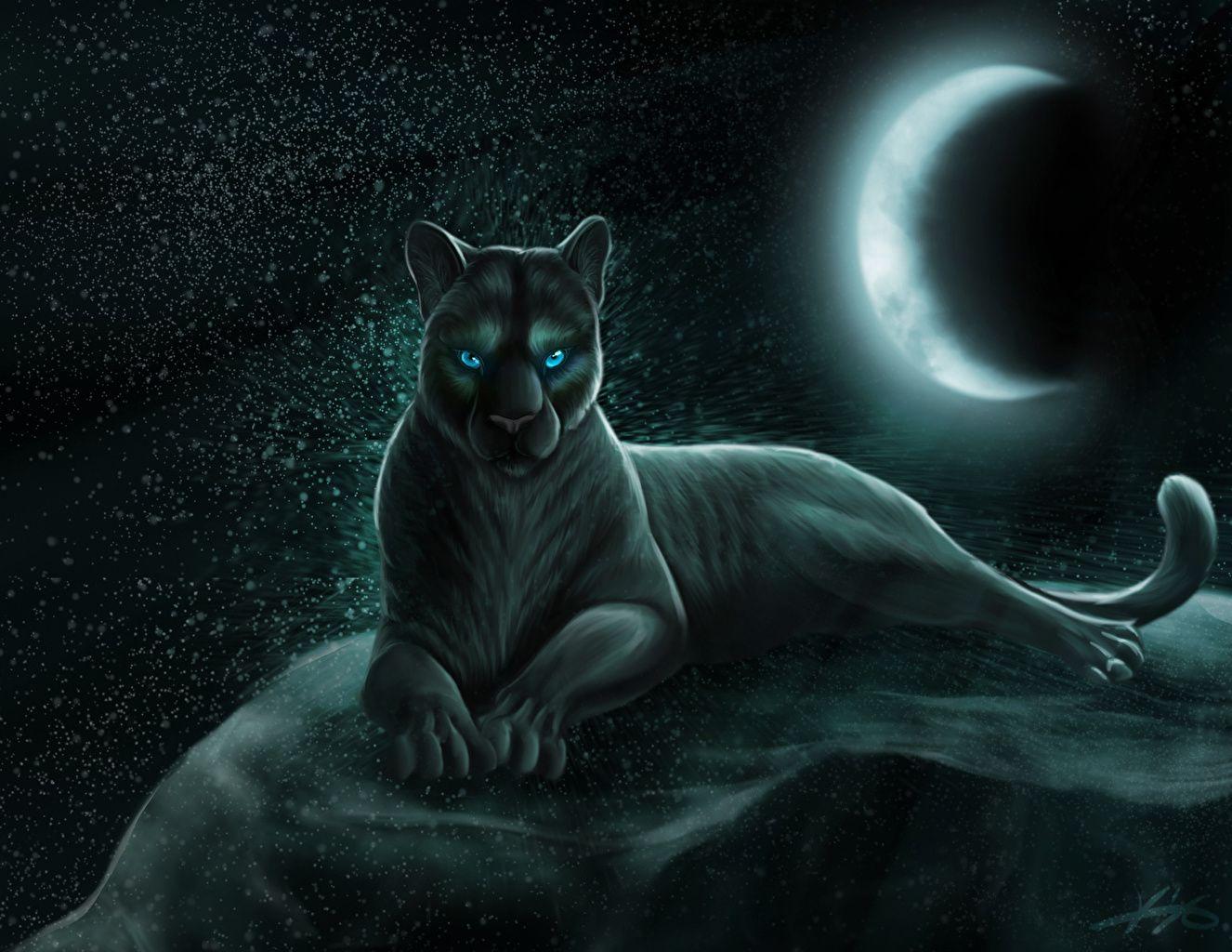 1326x1024 Panthers wallpaper picture download