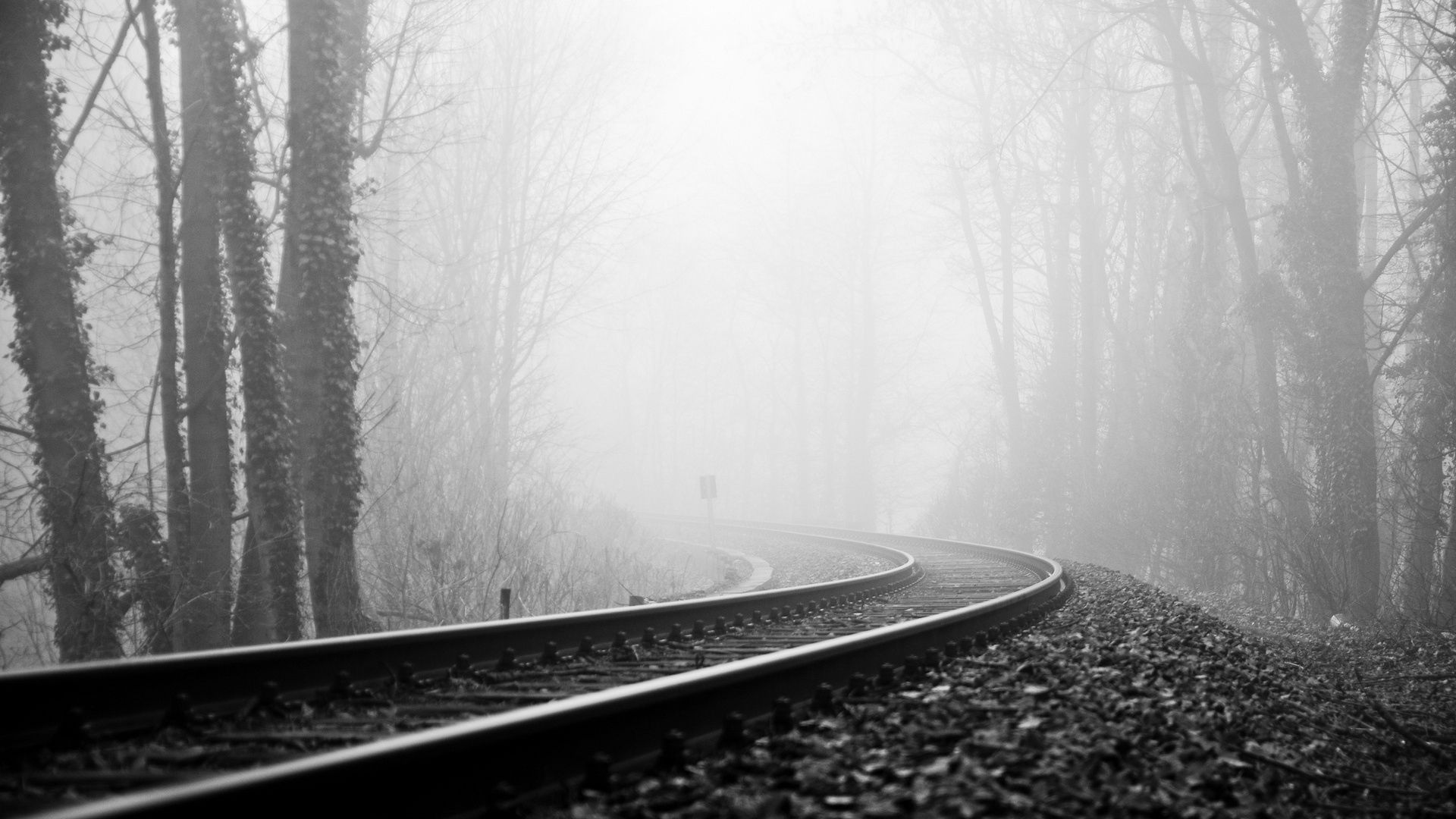 1920x1080 Download Black And White wallpaper for mobile phone, free Black And White HD picture