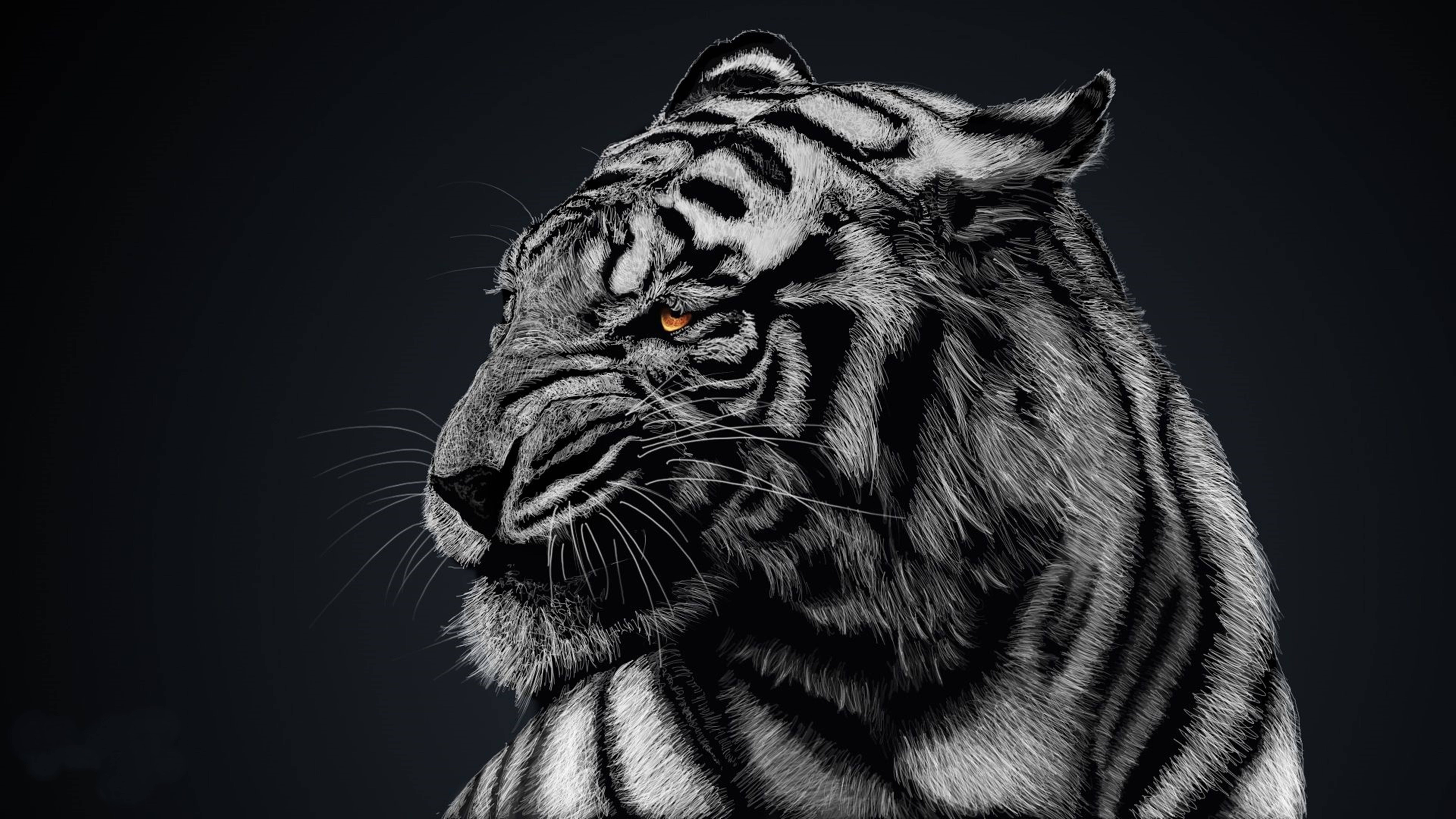 9333x5250 Download Majestic 8K Tiger In Ultra High Definition Wallpaper