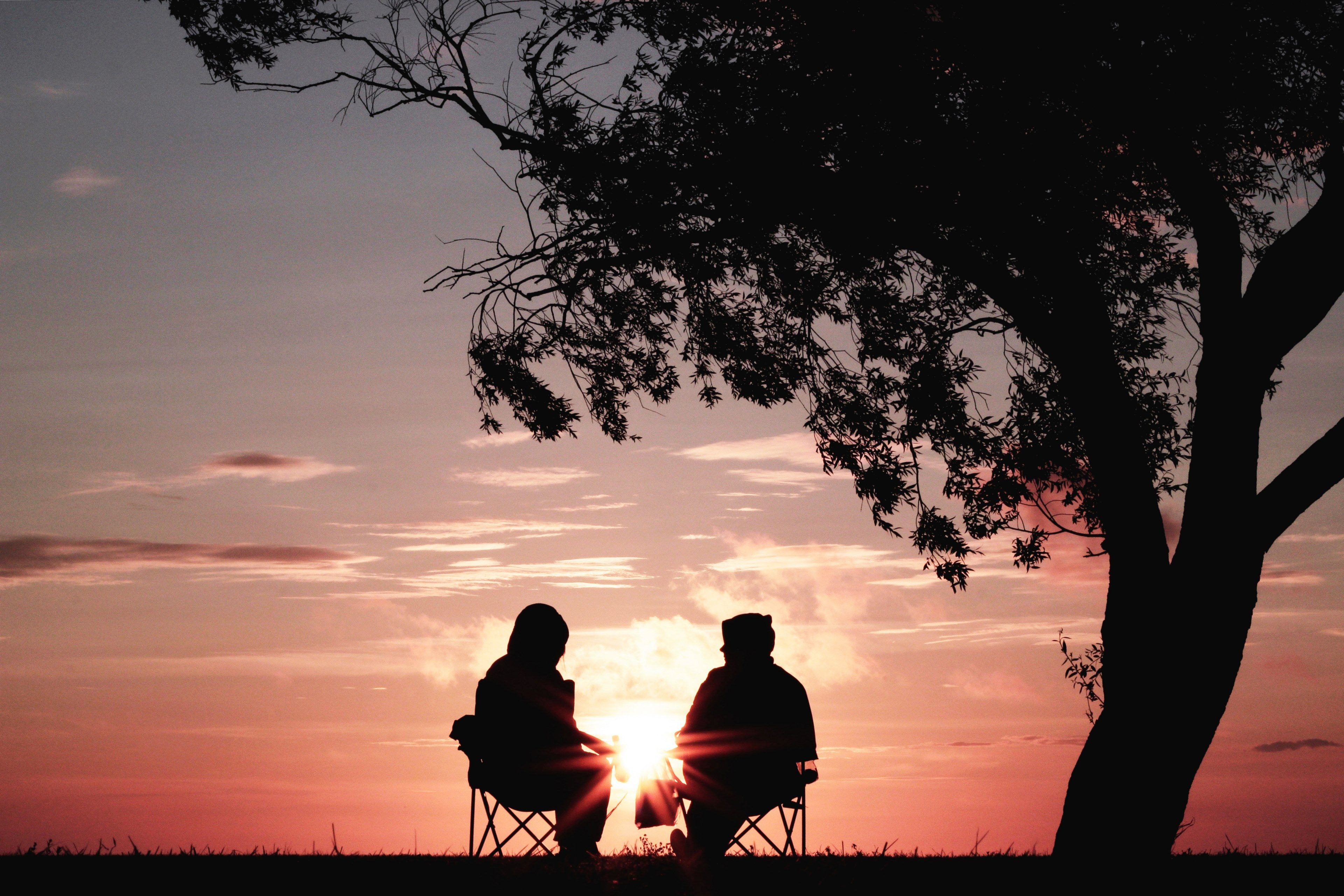 3840x2560 Wallpaper / silhouette of two people in hoodies sitting under a tree and watching a pink sunset, pink sunset couple 4k wallpaper free download