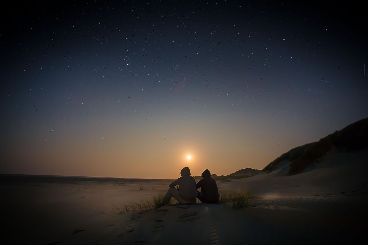 1200x800 From Bright Night in Wallpaper Wizard