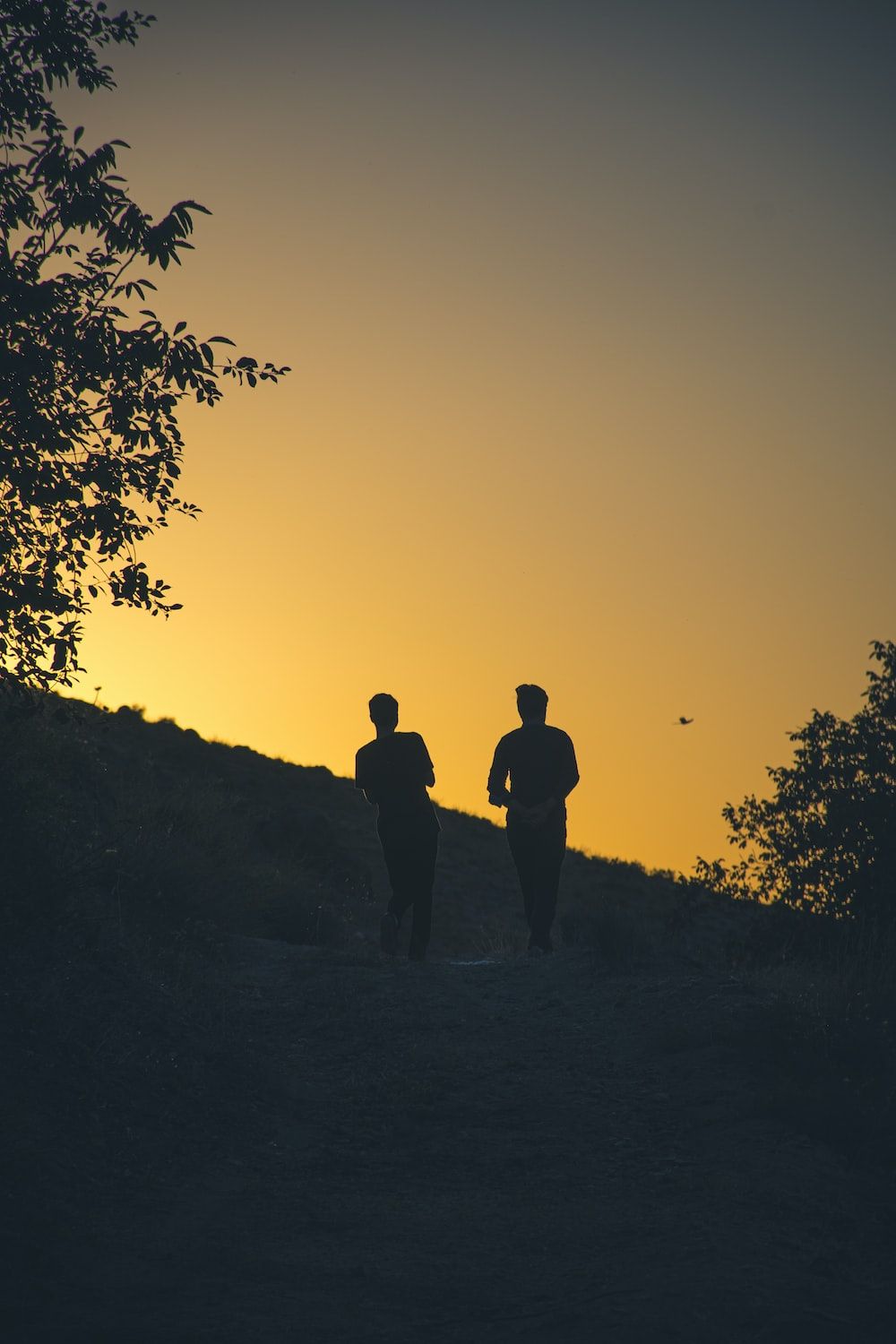 1000x1500 A couple of people that are walking down a hill photo