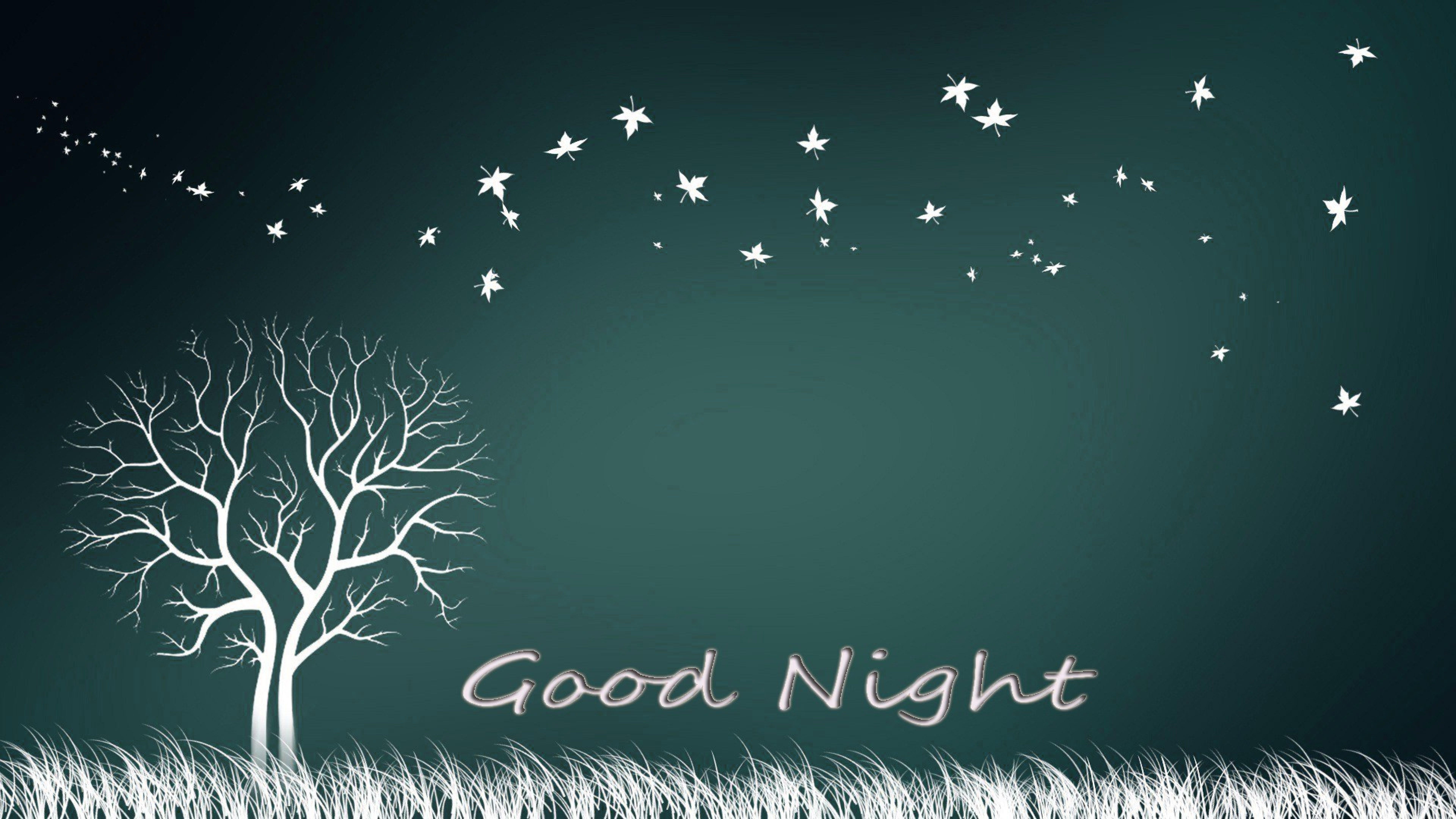 7680x4320 Free Good Night Wallpaper HD Download