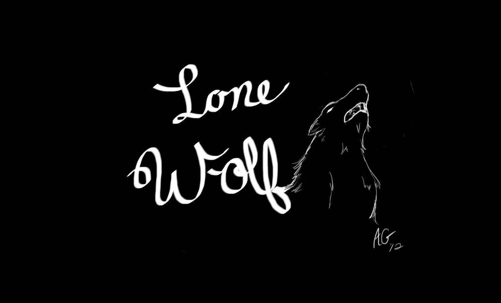 Lone Black Wolf Wallpapers Top Free Lone Black Wolf Backgrounds