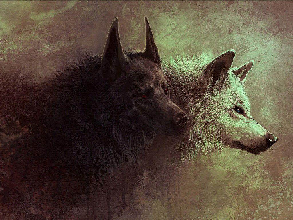 1024x768 Wide HD Lone Wolf Wallpaper