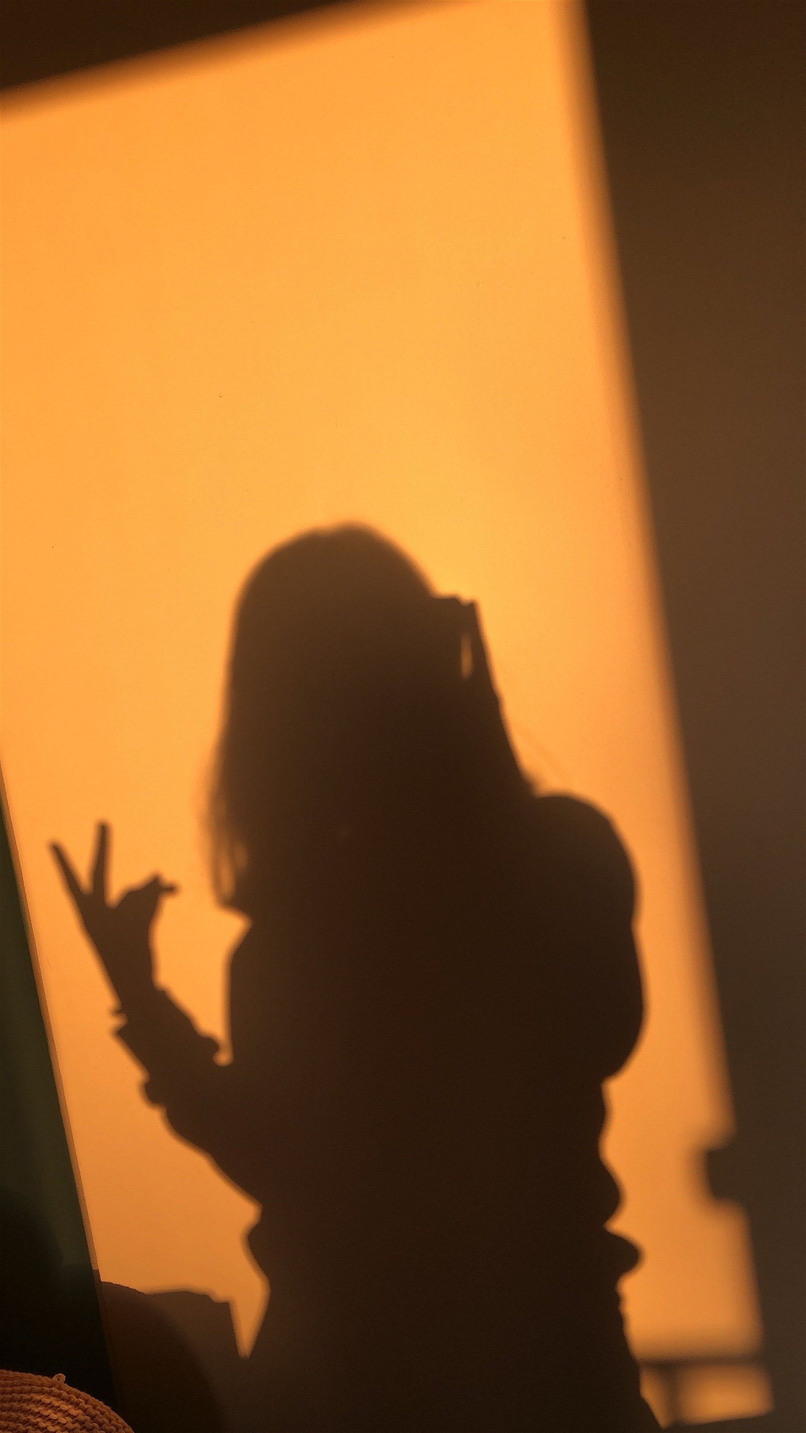 1600x2846 Aesthetic shadow girl Wallpaper Download