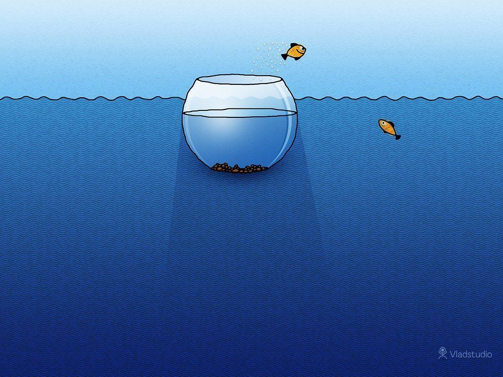 1024x768 Vladstudio, Fishbowls, Fish, Water HD Wallpaper / Desktop and Mobile Image & Photo