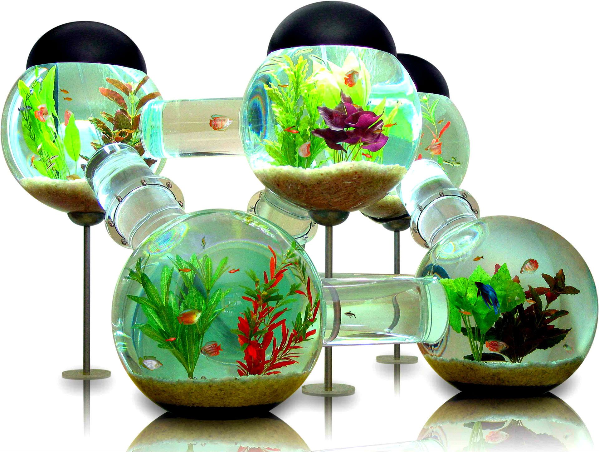 1920x1447 Fish Tank HD Wallpaper and Background