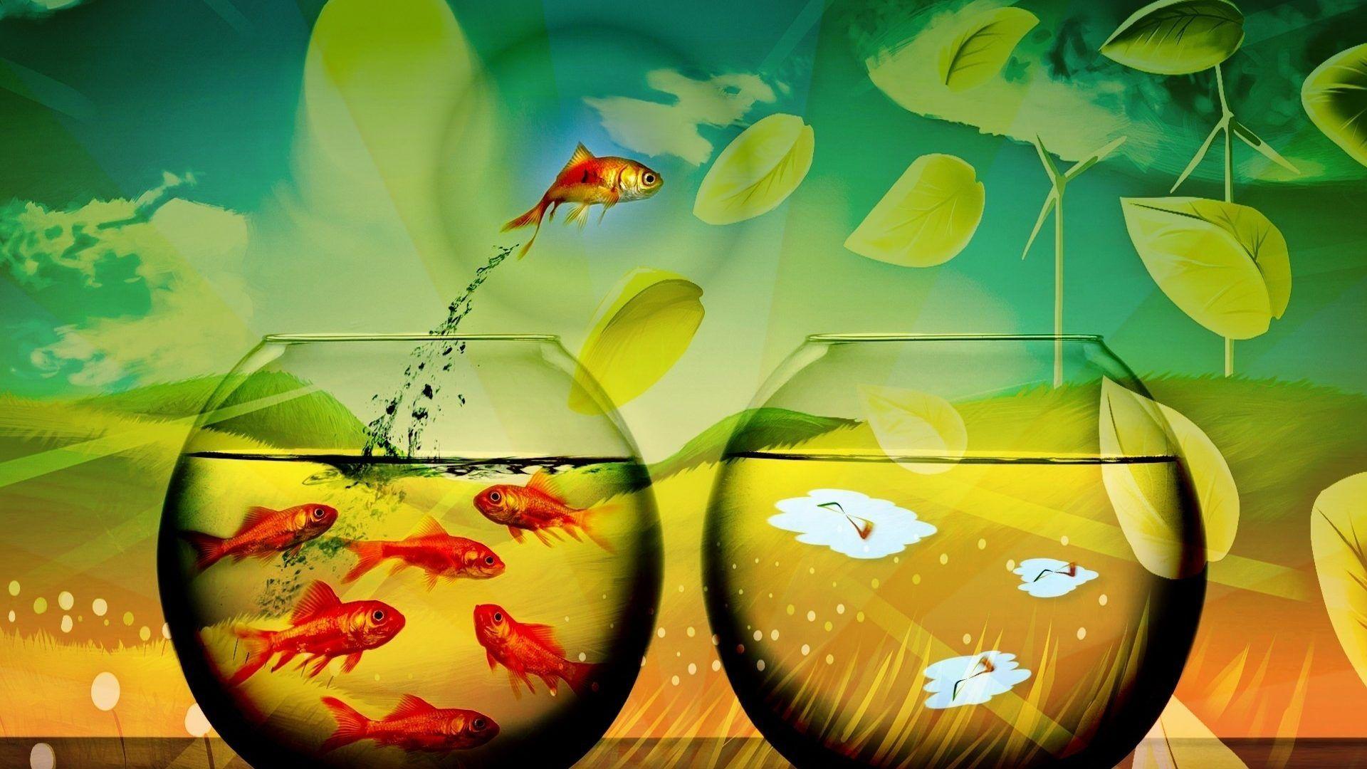 1920x1080 HD Bowl Fish Wallpaper
