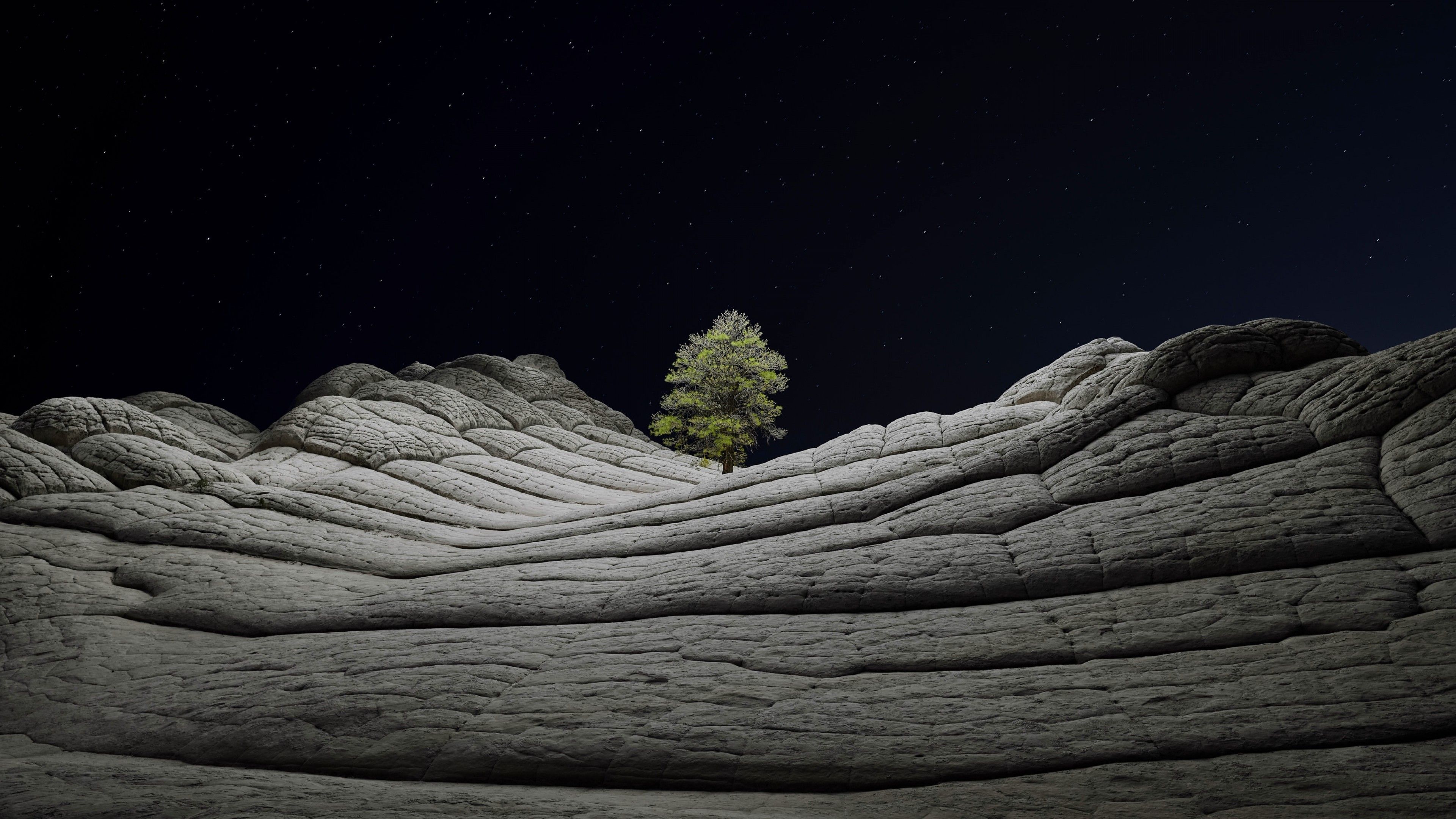 3840x2160 Wallpaper iOS 14. Desert, Tree, Night, 4K, OS