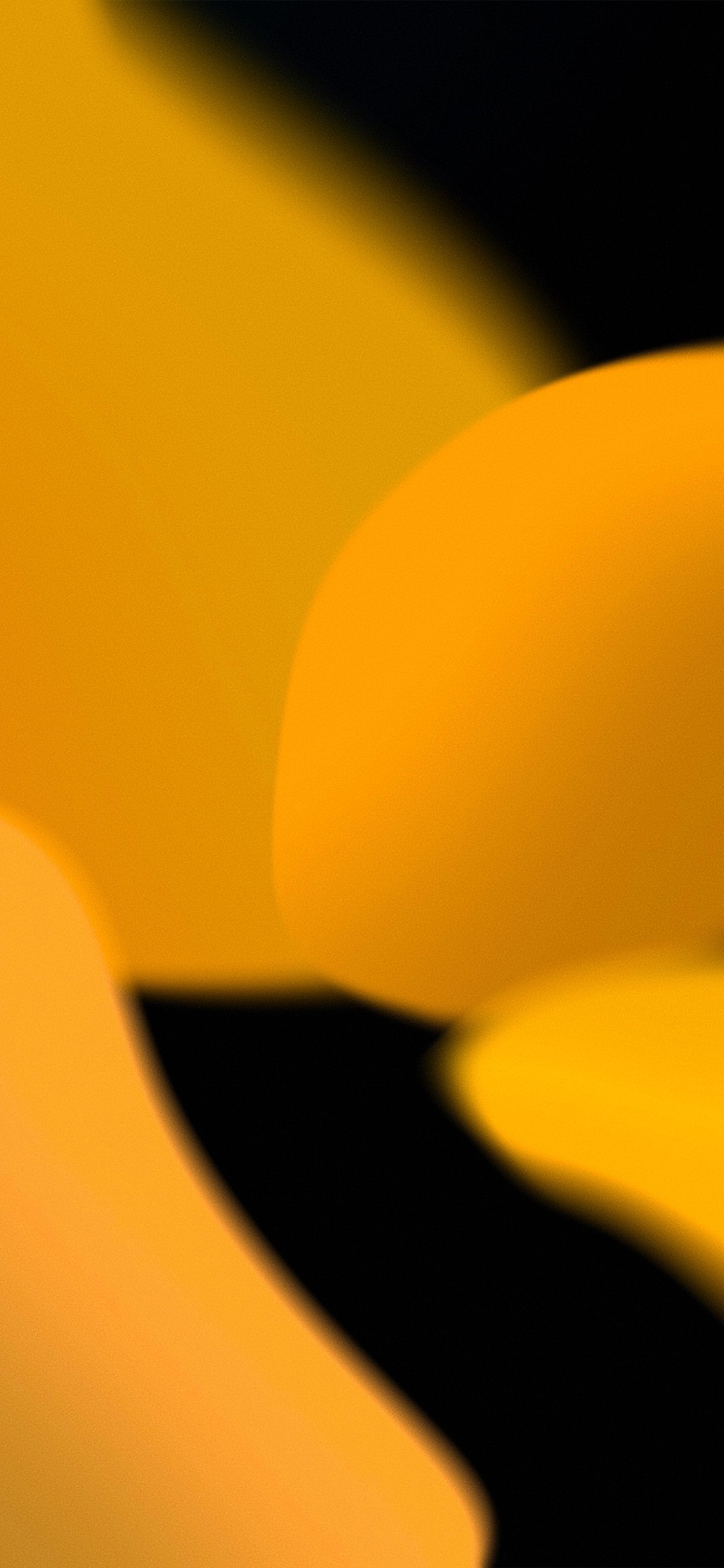 1420x3073 iOS 15