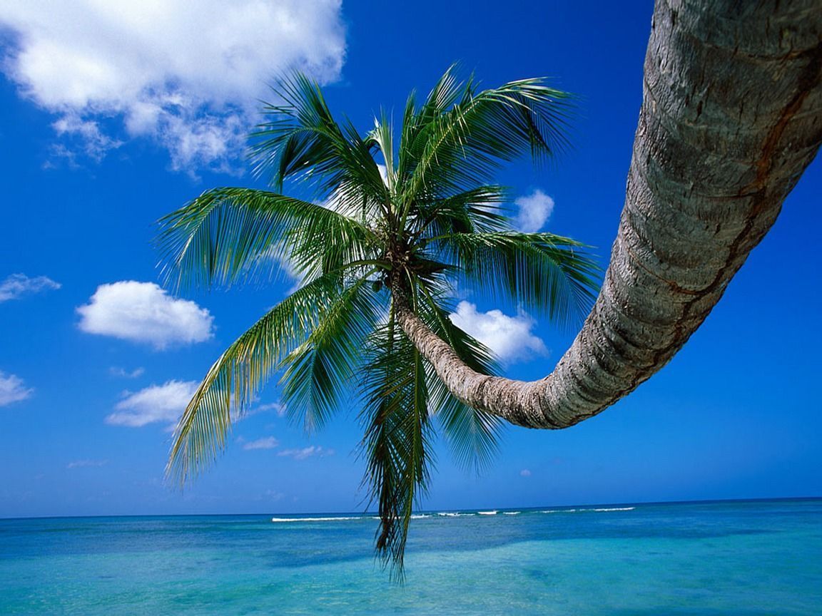1152x864 Free download super high quality nice high clarity picture high clarity image part [1152x864] for your Desktop, Mobile & Tablet. Explore Super High Res Wallpaper. High Res Background, High