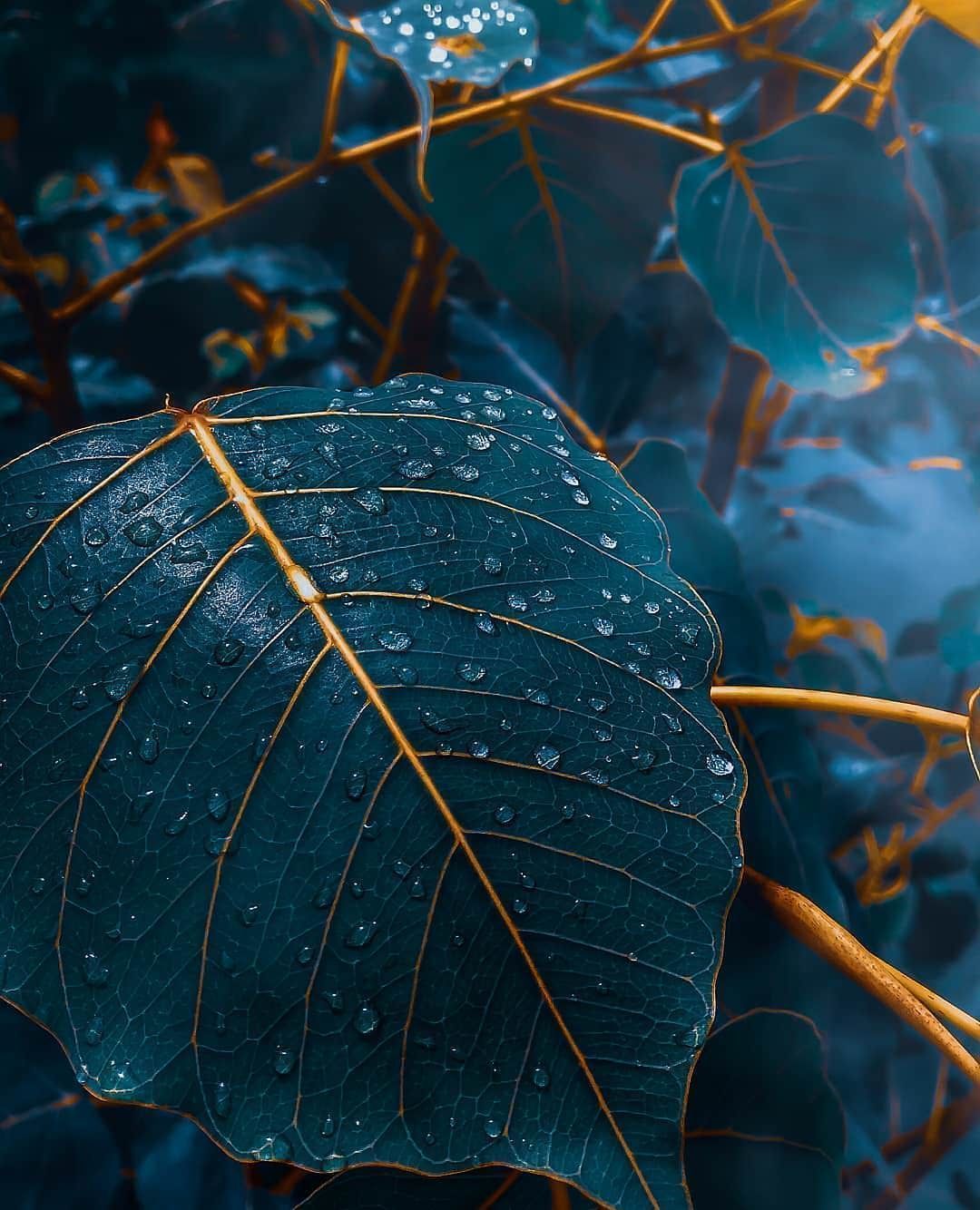 1080x1334 Sophisticated Wallpaper