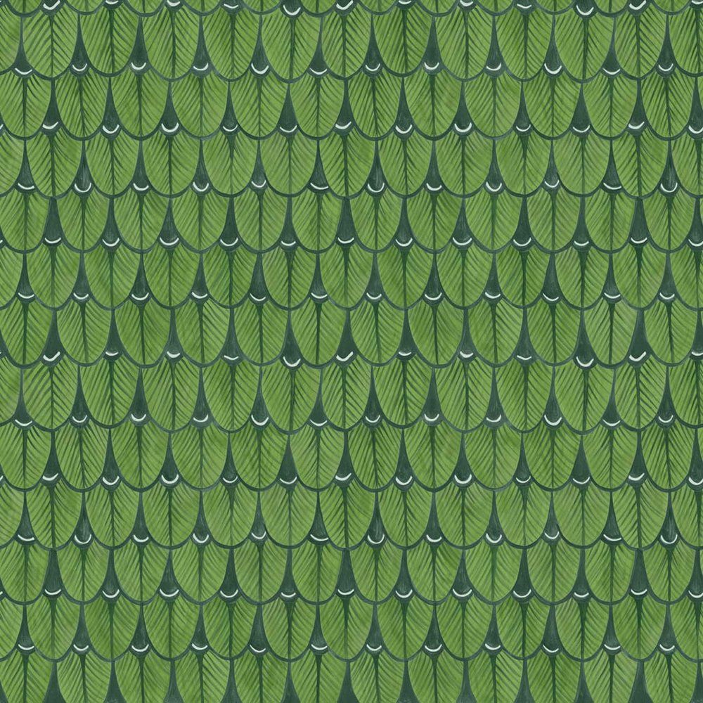 1000x1000 10045 NARINA WALLPAPER