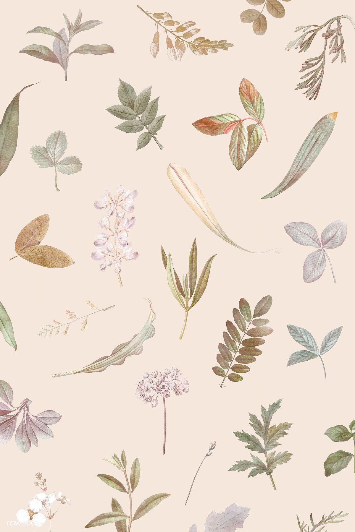 1200x1800 Aesthetic iPad Beige Wallpaper