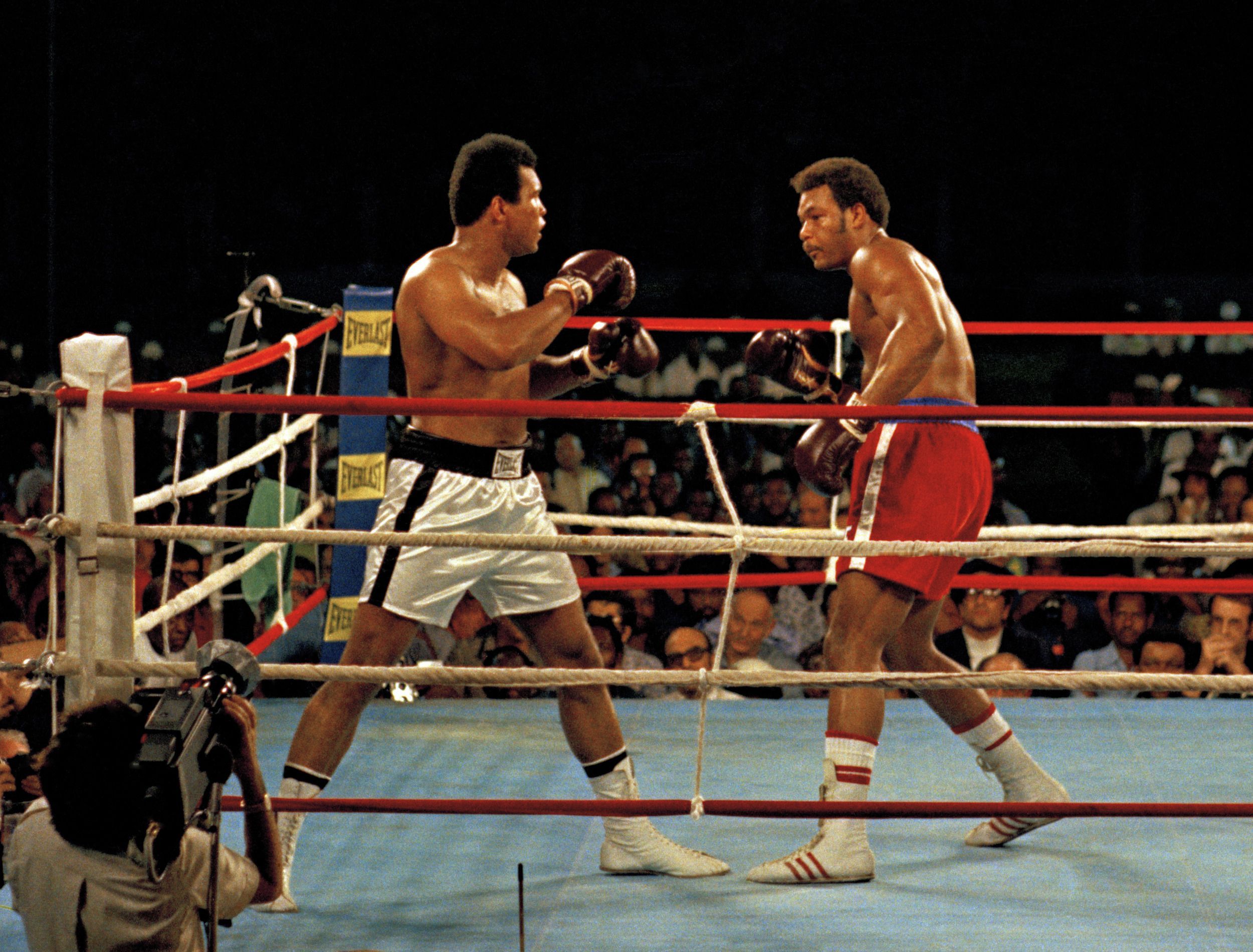 2500x1900 Boxing Greats