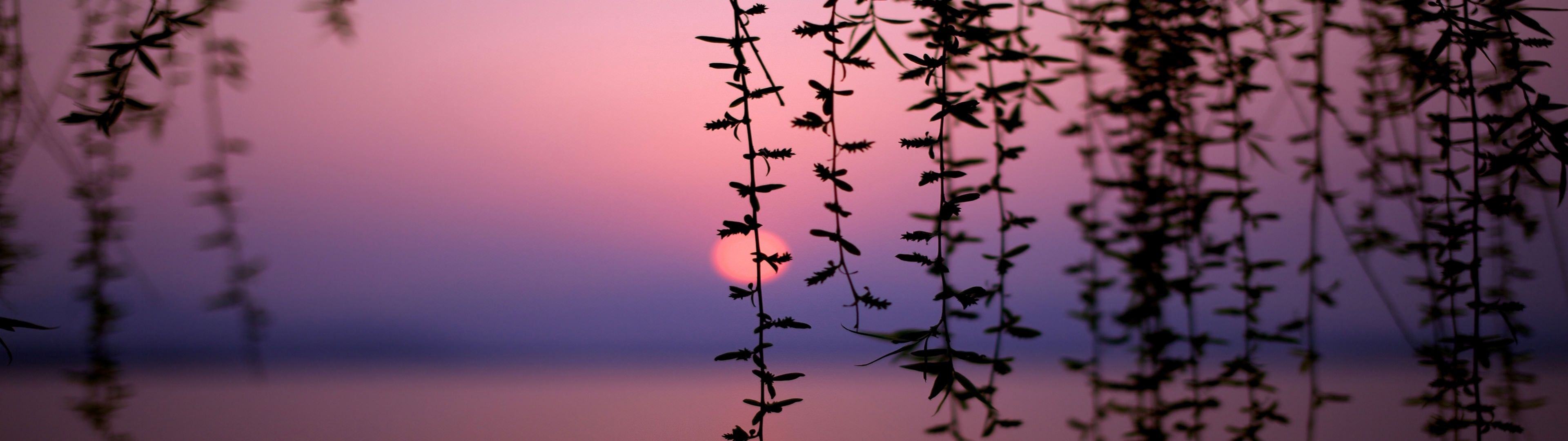 3840x1080 Wallpaper