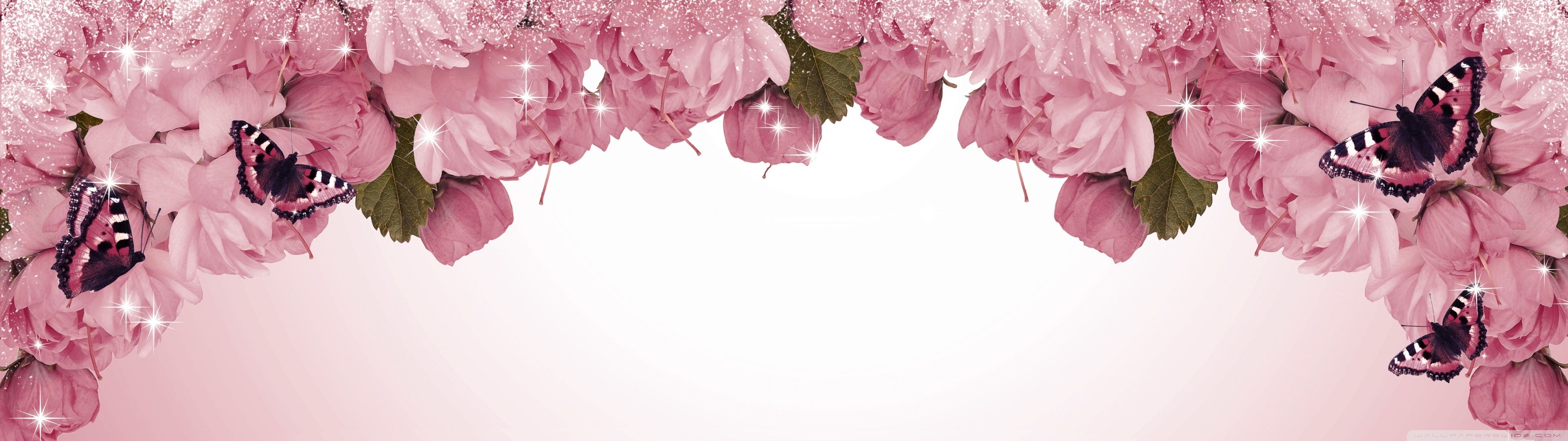 3840x1080 Butterflies and Flowers Ultra HD Desktop Background Wallpaper for 4K UHD TV : Widescreen & UltraWide Desktop & Laptop : Multi Display, Dual & Triple Monitor : Tablet