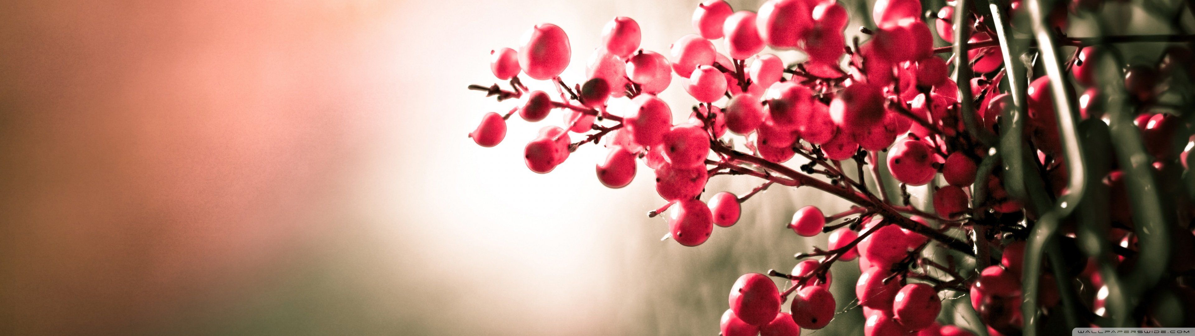 3840x1080 Spring 3840x1080 Wallpaper