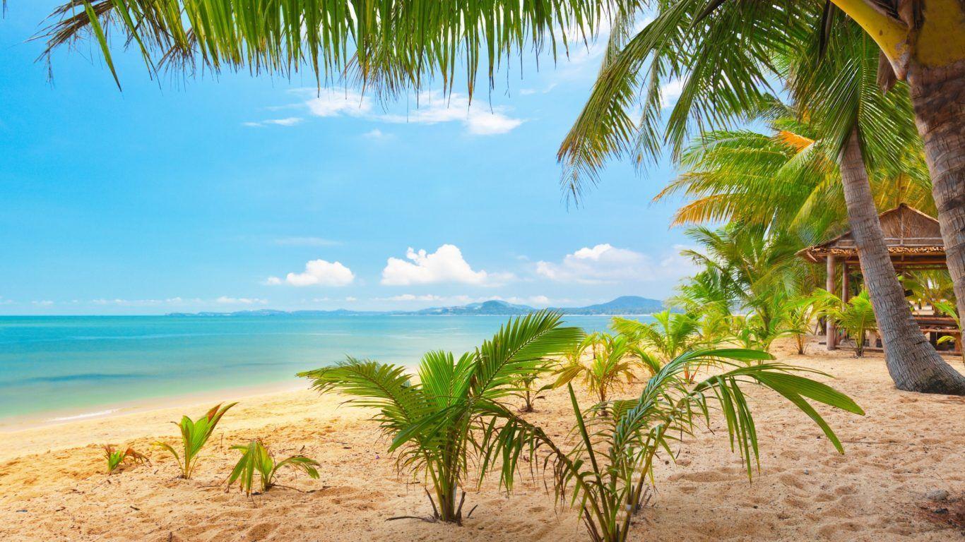 1366x768 Funafuti Wallpaper