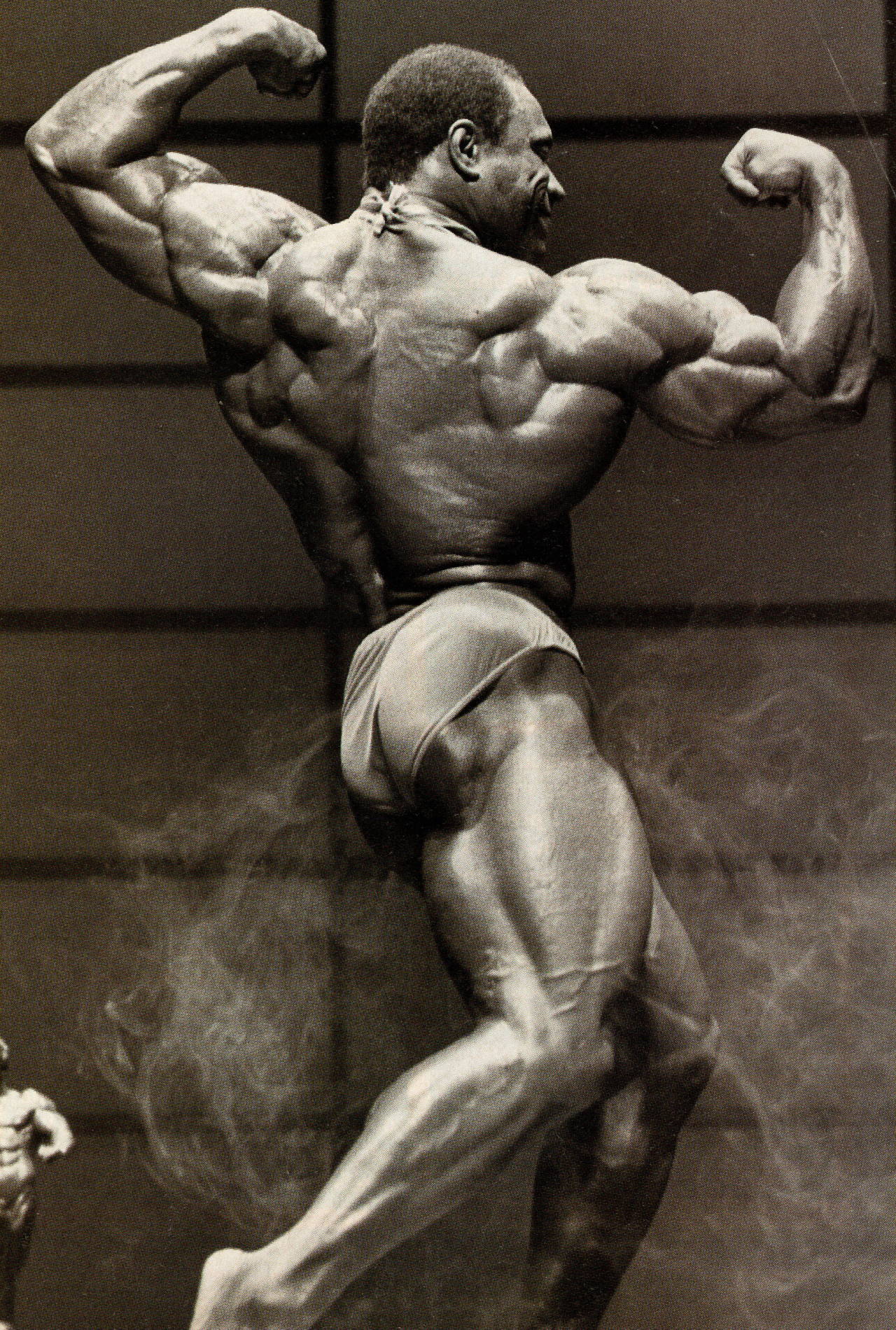 1280x1900 Muscle Mag Hero