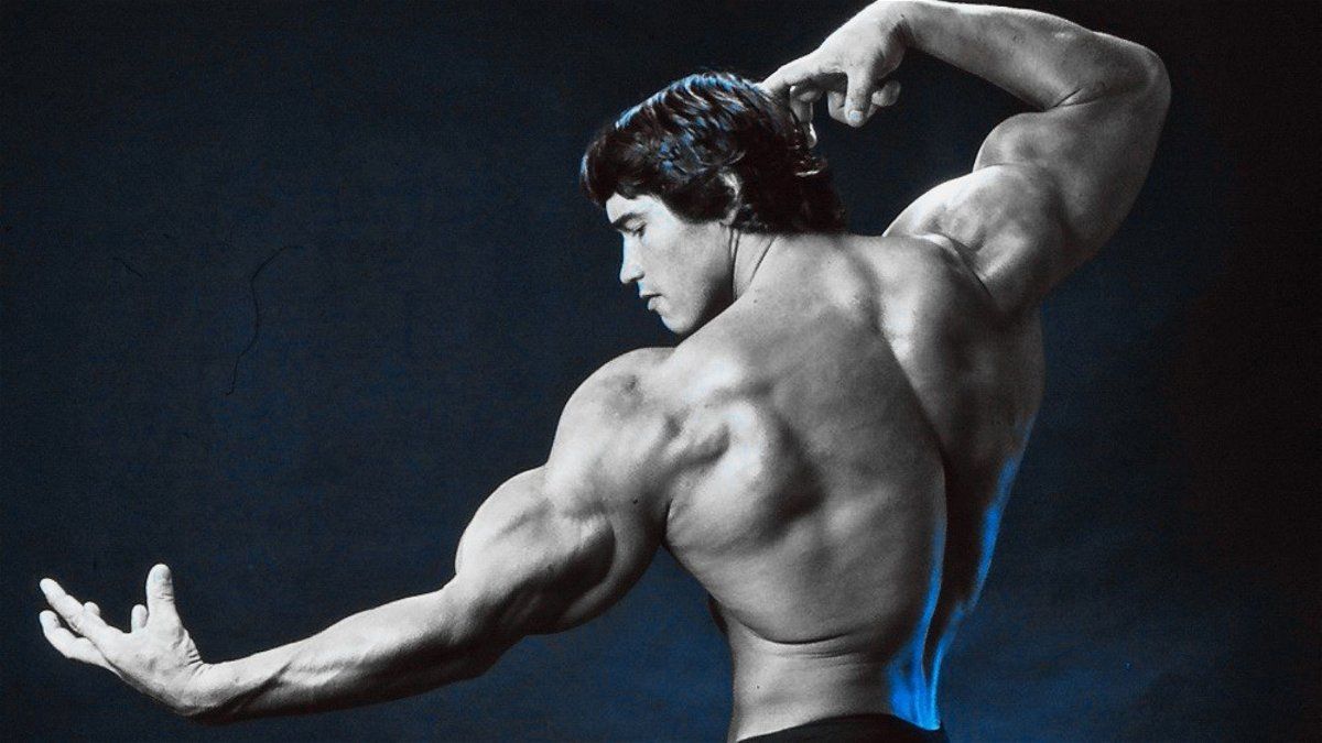 1200x675 Arnold Schwarzenegger VS. Chris Bumstead VS. Lee Haney: Who Is the Youngest Mr. Olympia in Bodybuilding History?