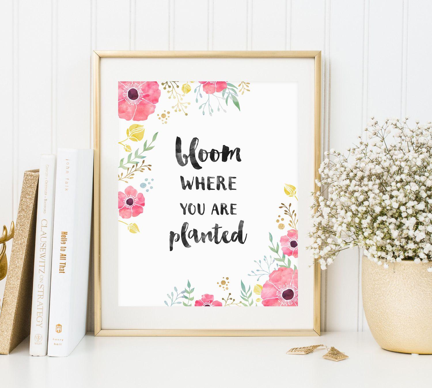 1500x1346 Free Desktop Wallpaper Where you are Planted