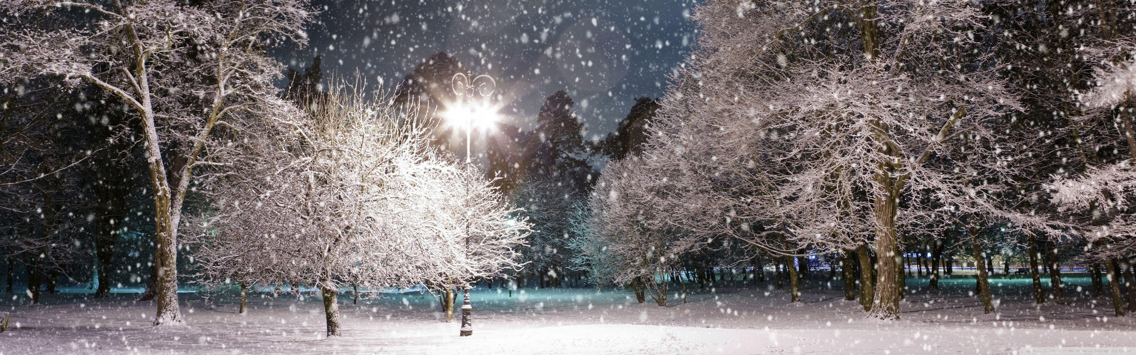 3840x1200 Winter Night ❤ 4K HD Desktop Wallpaper for 4K Ultra HD TV • Dual