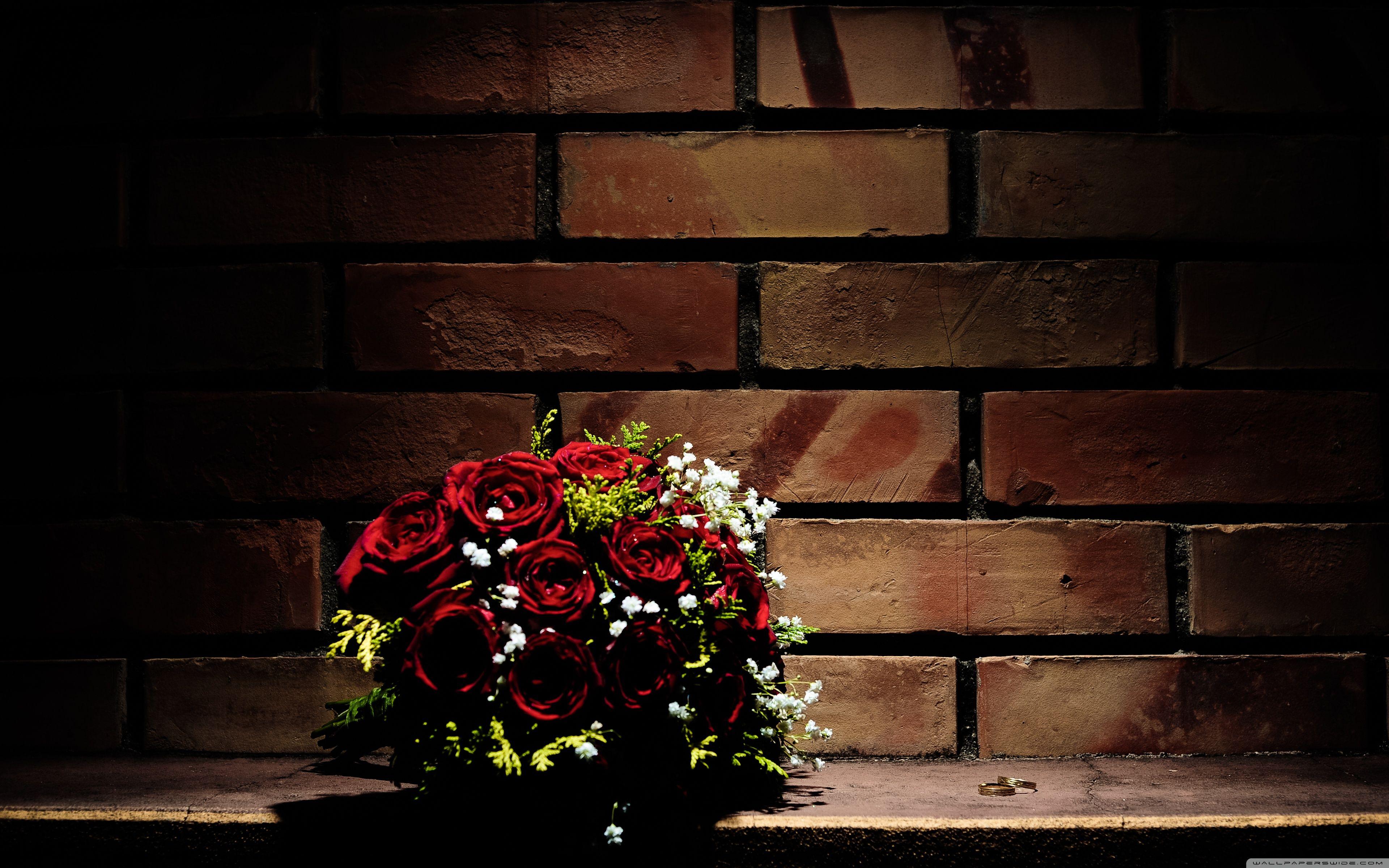 3840x2400 WallpaperMISC HD Wallpaper 21 X 2400 Free TOP High