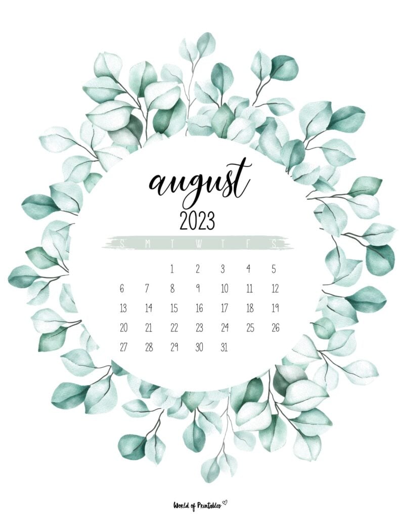 791x1024 August 2023 Calendar Wallpaper