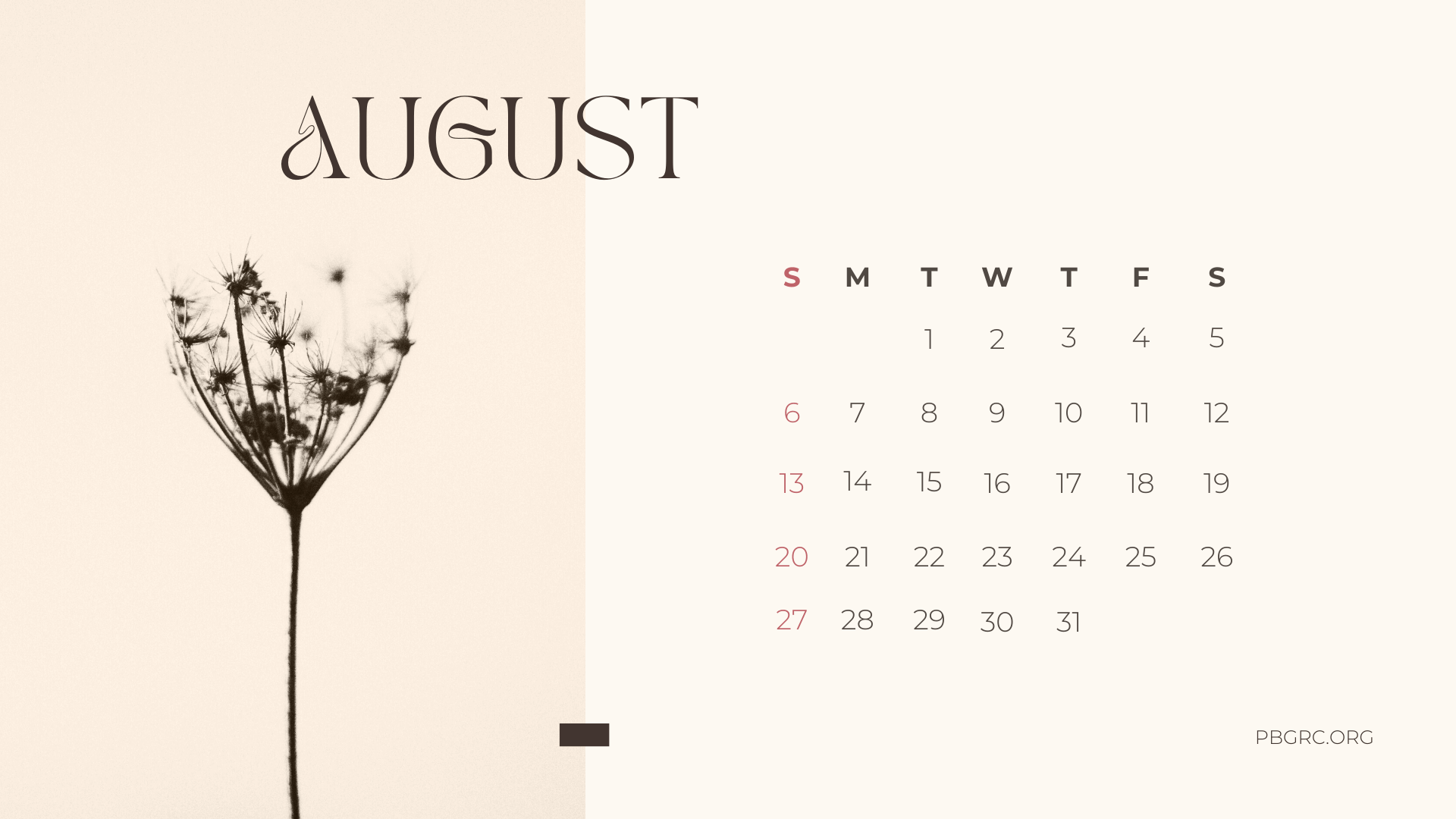 August 2023 Calendar Wallpapers - Top Free August 2023 Calendar