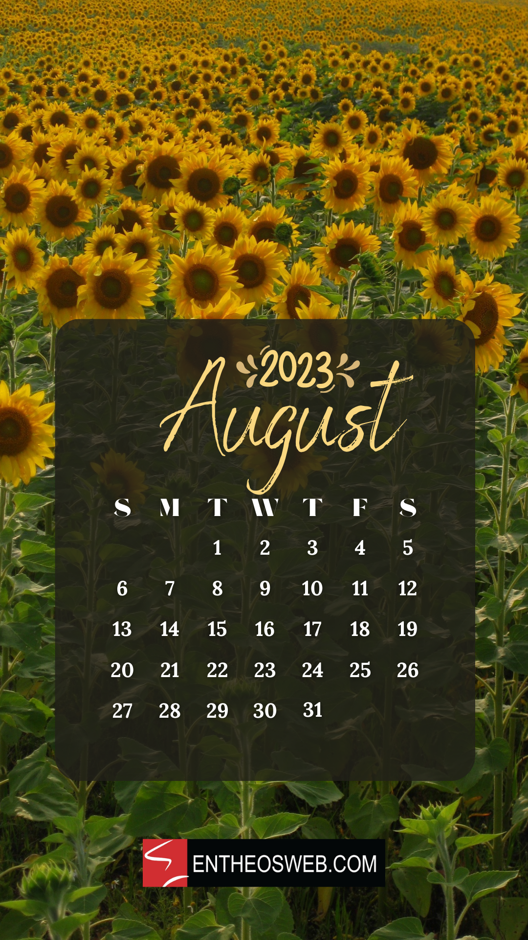 1080x1920 August 2023 Calendar Phone Wallpaper