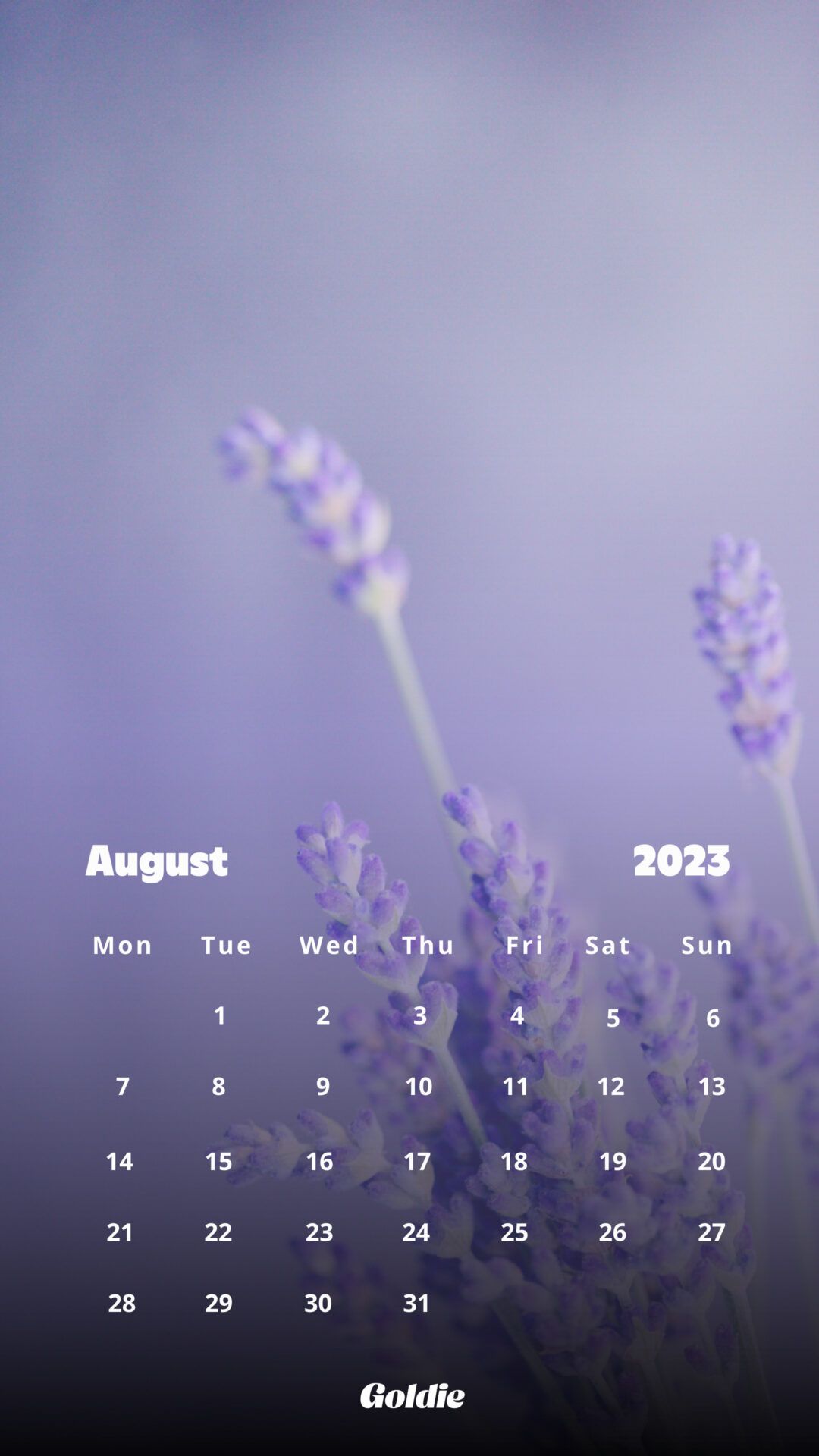 August 2023 Calendar Wallpapers - Top Free August 2023 Calendar