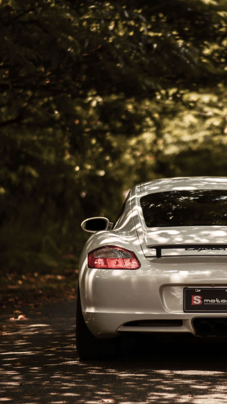 938x1668 Download Wallpaper 938x1668 Porsche Cayman S, Porsche, Car, Sportscar, White, Rear View Iphone 8 7 6s 6 For Parallax HD Background