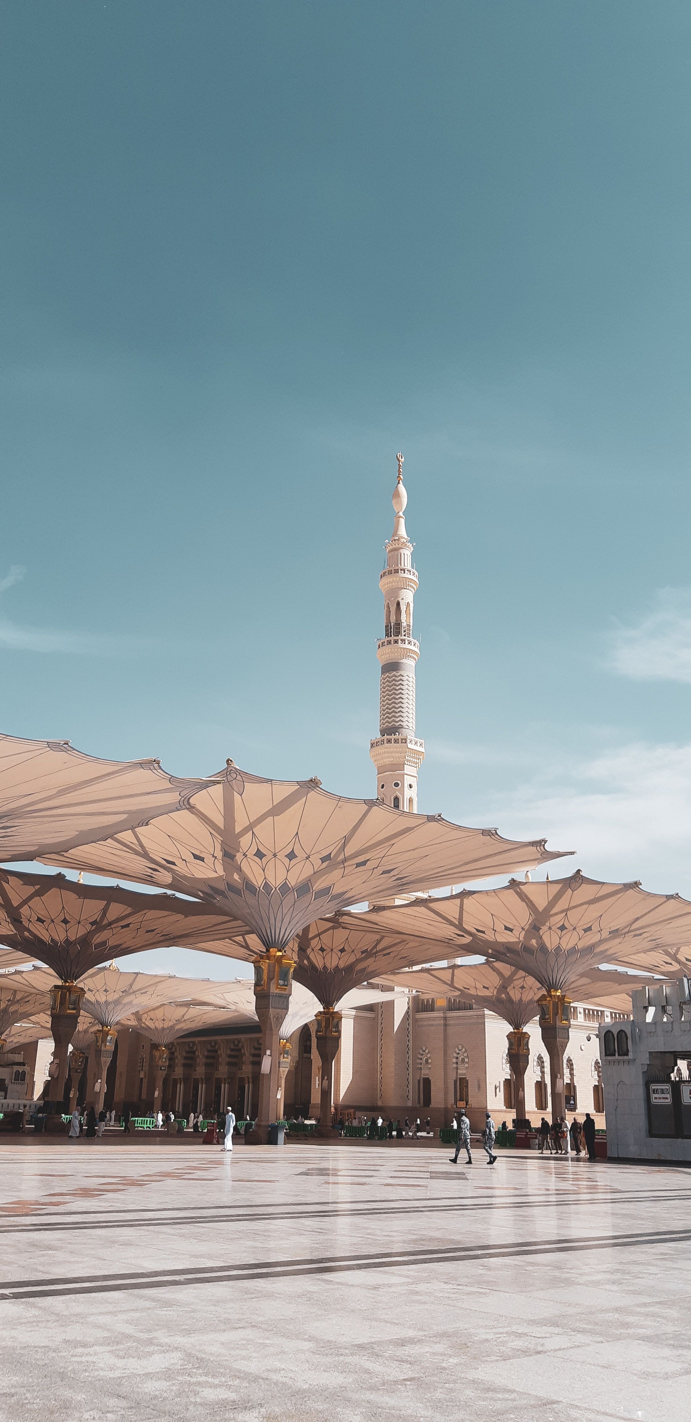 2240x4608 Masjid Nabawi Photo, Download The BEST Free Masjid Nabawi & HD Image
