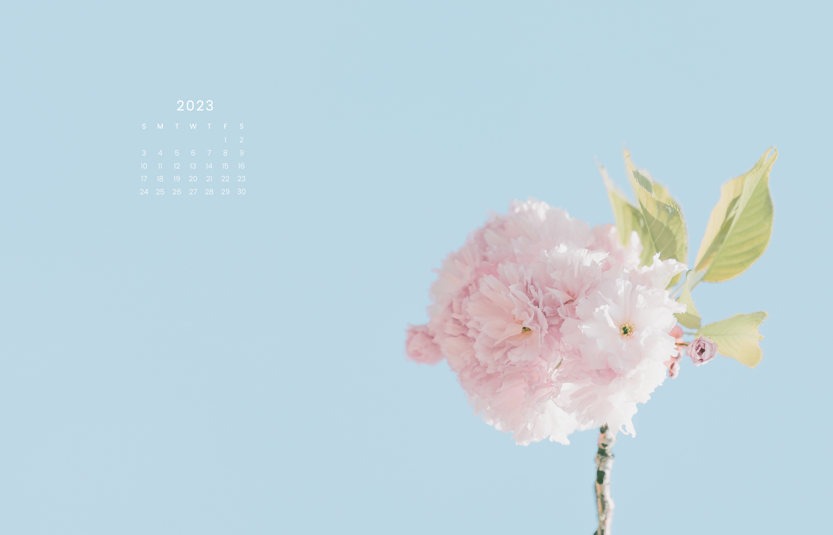 2800x1800 FREE Pretty September Wallpaper Designs For 2022