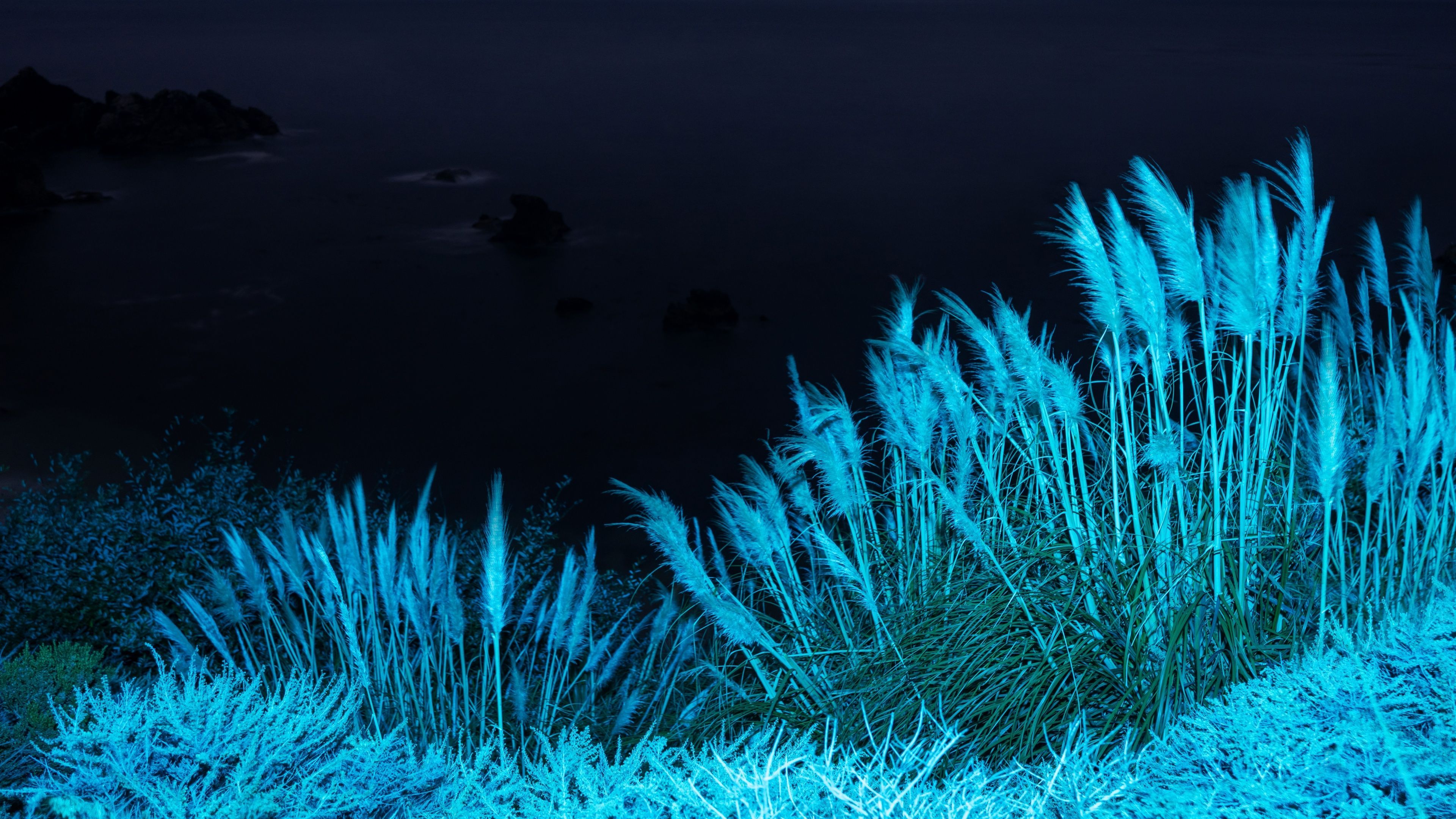 Night Grass Wallpapers - Top Free Night Grass Backgrounds - WallpaperAccess