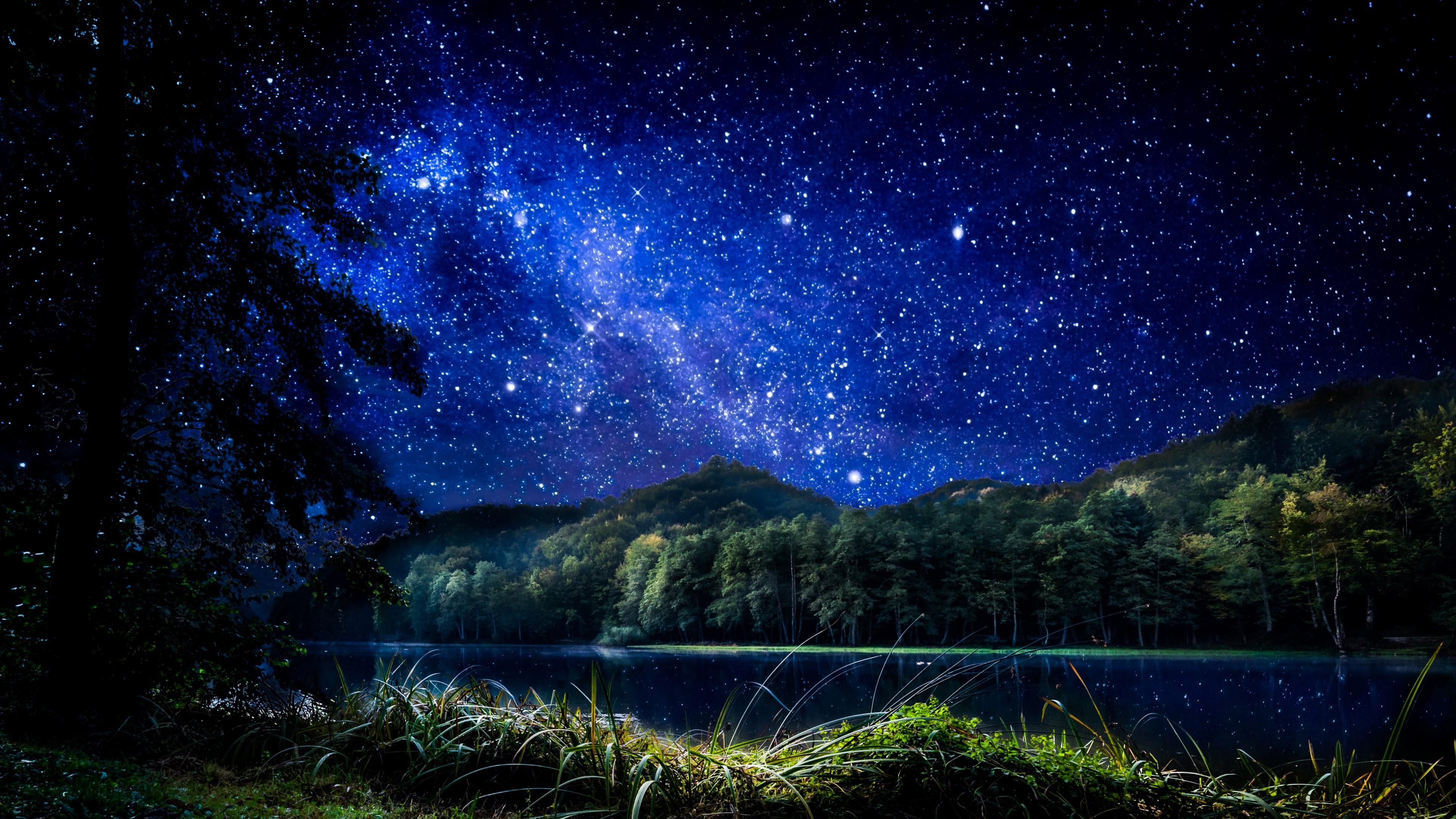 Night Grass Wallpapers - Top Free Night Grass Backgrounds - WallpaperAccess